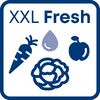 XXL-Fresh
