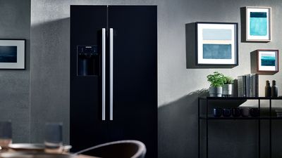 Siemens: freestanding fridge both doors closed