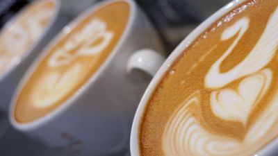 Verschiedene Latte Art in mehren Tassen bei der Kaffee-Zubereitung