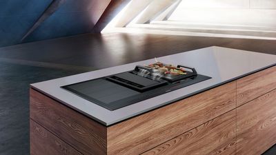 Siemens inductionAir-System