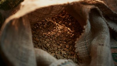 Siemens : grains de café bruts