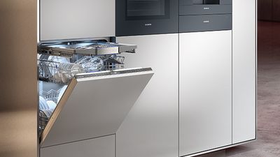 Dishwasher with easy glide rail