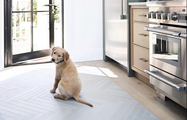 Blonde wood and ss appliances with golden lab-photo from @ThermadorHome