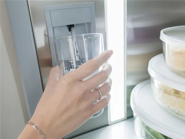 Thermador Refrigerator bottom freezer internal water dispenser