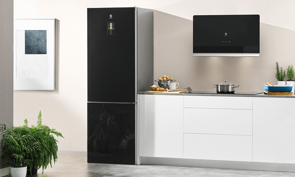 Promoción en frigoríficos combinados Días Balay