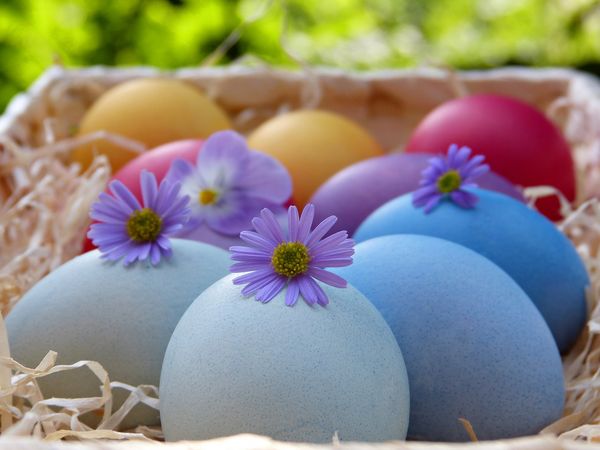 Home Connect Easter eggs