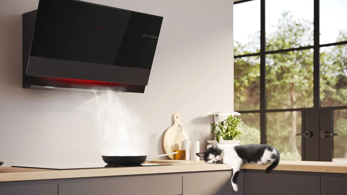 Siyah ekor hayranı olan modern mutfak, ahşap kontop, hurda bitki ve karşı oturan bir kedi.