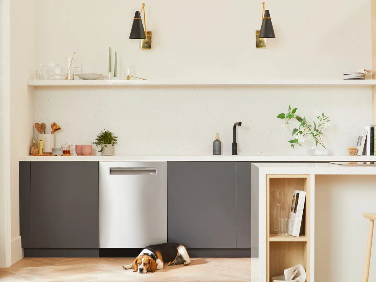 Bosch stainless steel dishwasher with gray kitchen cabinets and dog laying in front
