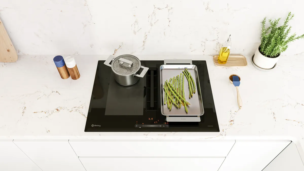plano placa con alimentos y zona flexinduccion de Balay