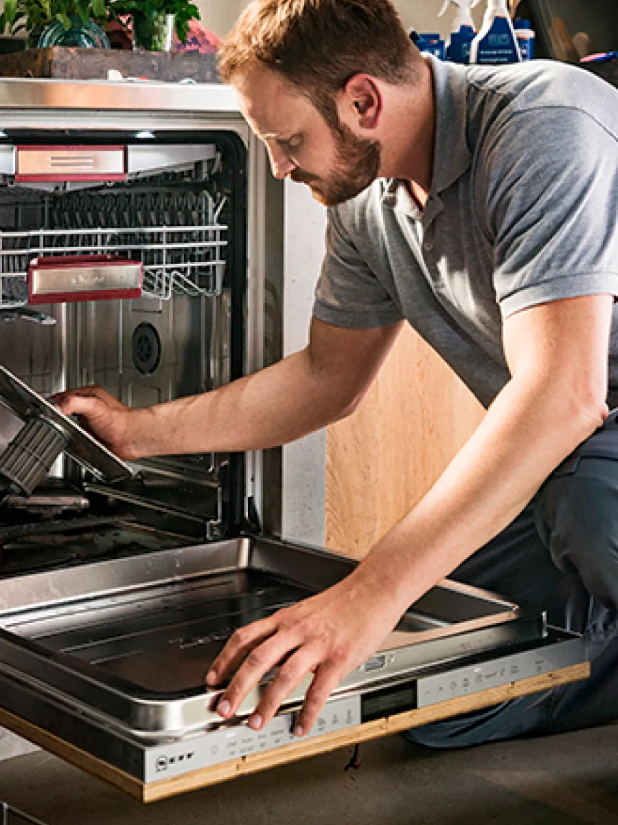 Ενας άνδρας ασχολείται με ένα αντικείμενο ενός πλντηρίου πιάτων.