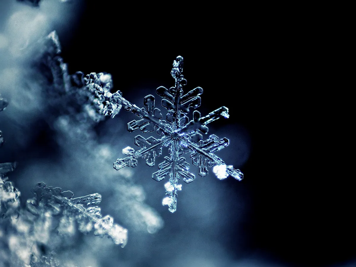 Close-up de um floco de neve congelado.
