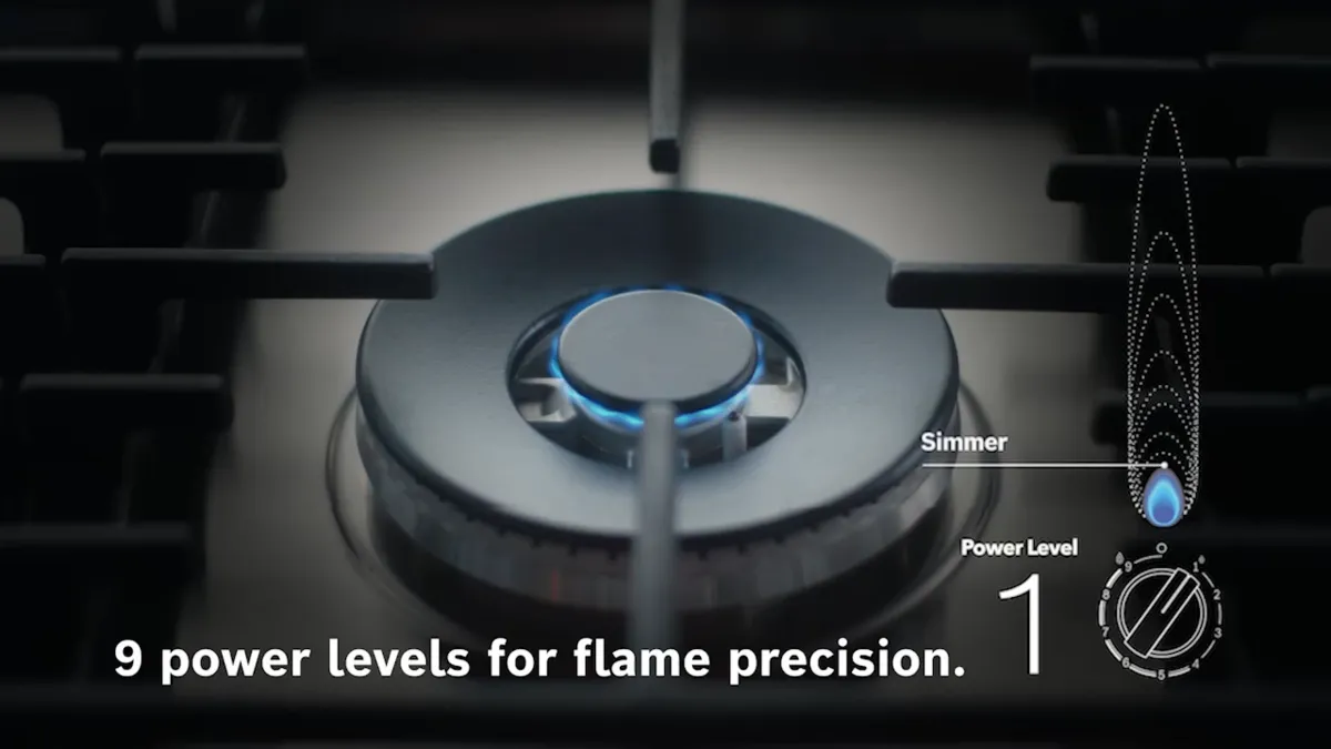 Bosch FlameSelect