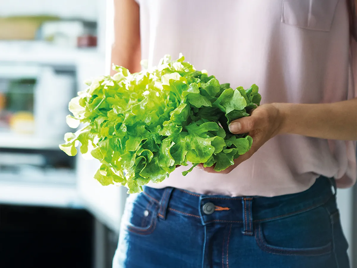 A person holds a vibrant, freshly picked head of lettuce, showcasing its crisp leaves against a softly blurred kitchen background.