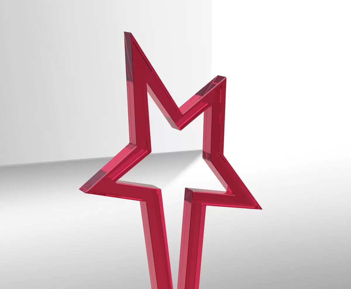 Ein Bosch Award