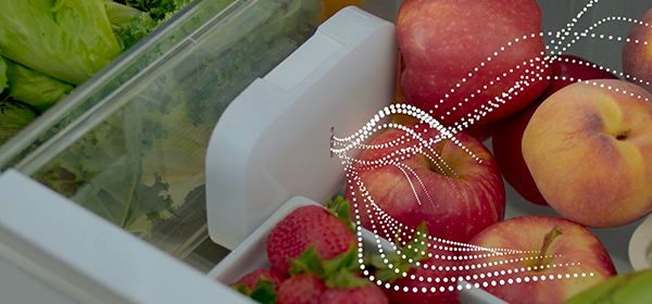 FreshProtect Nachfüllkit für den Kühlschrank 17007000 17007000-4