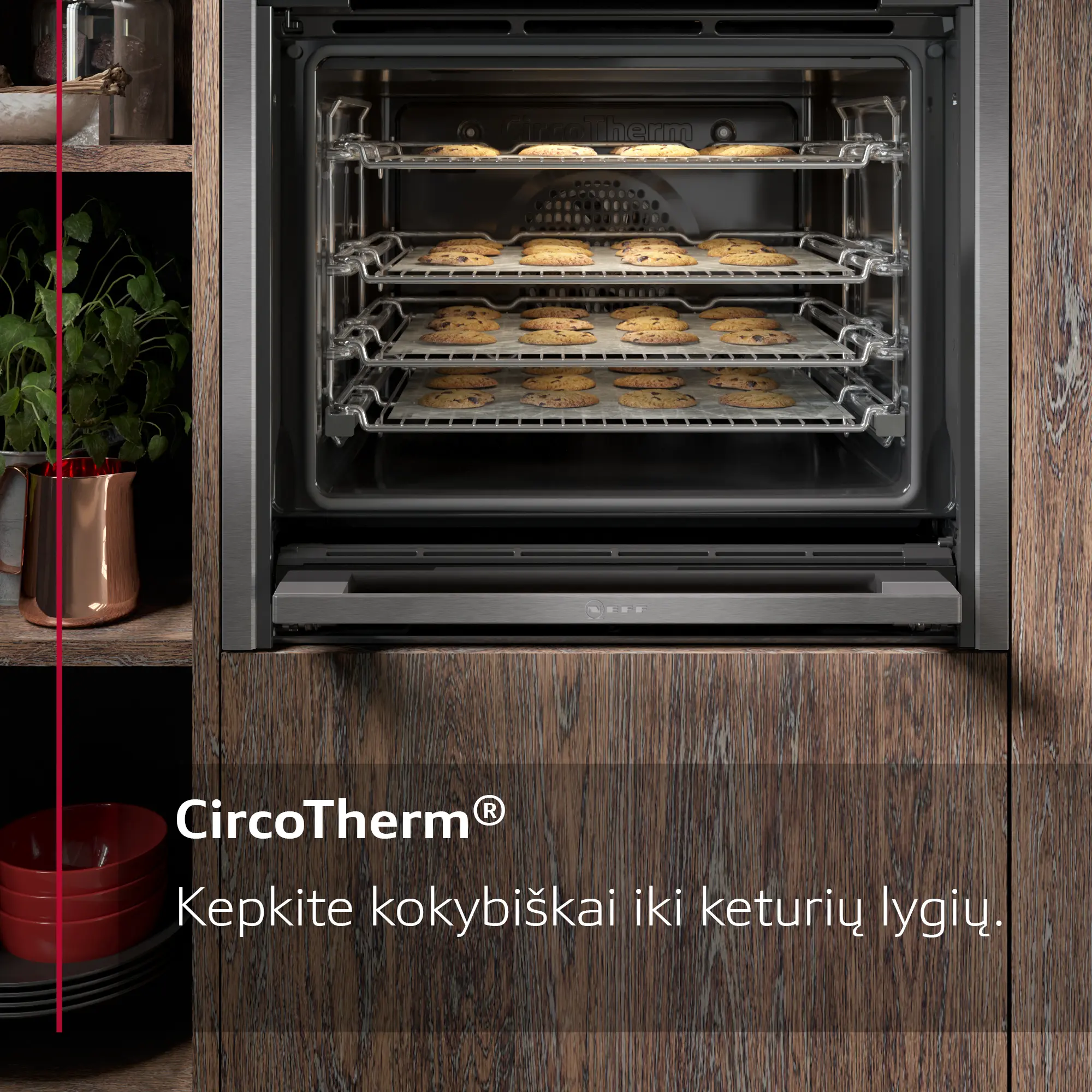 Sumažinta produkto nuotrauka nr. 10