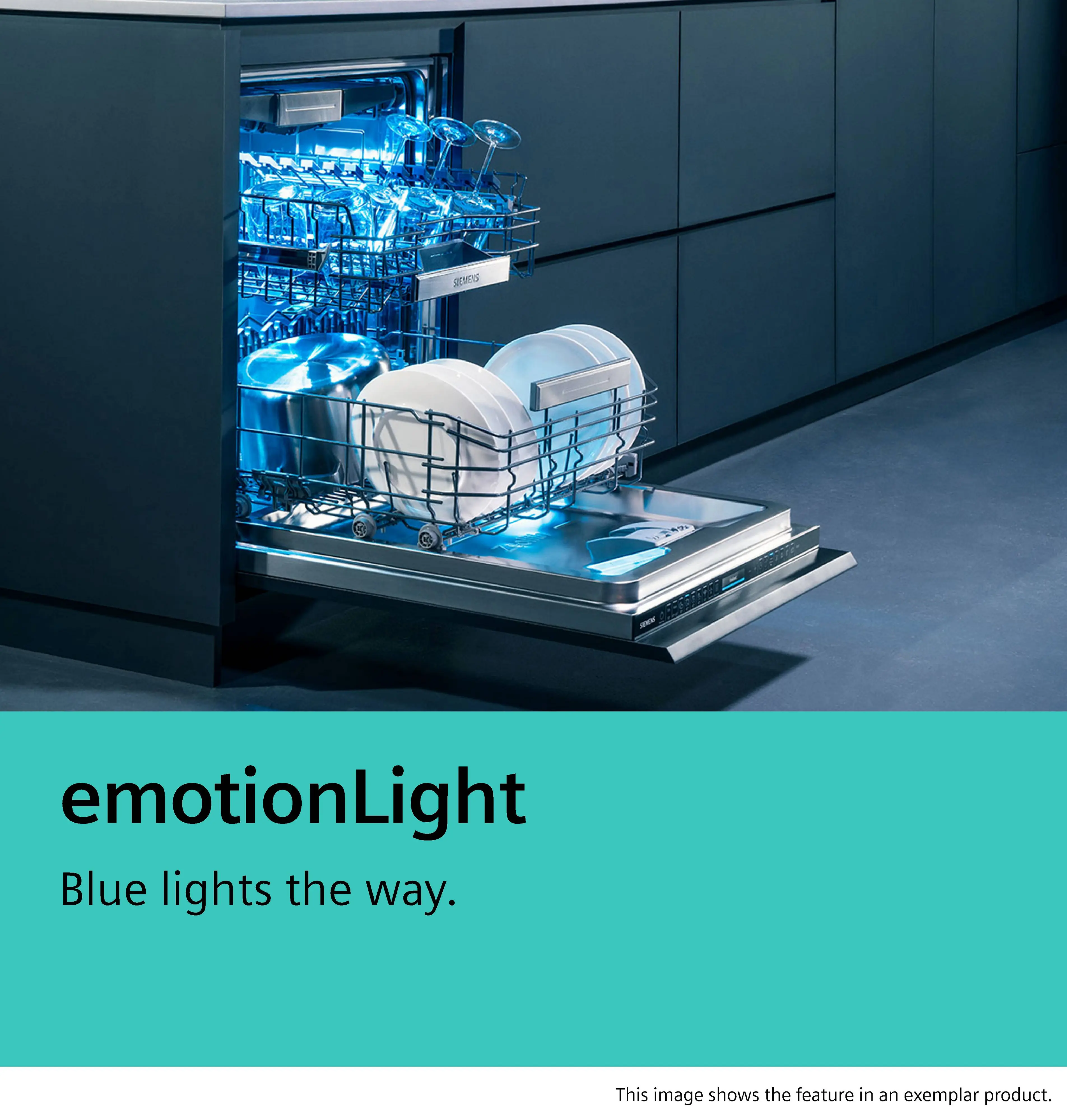 Photo thumb Nr. 4 of the product