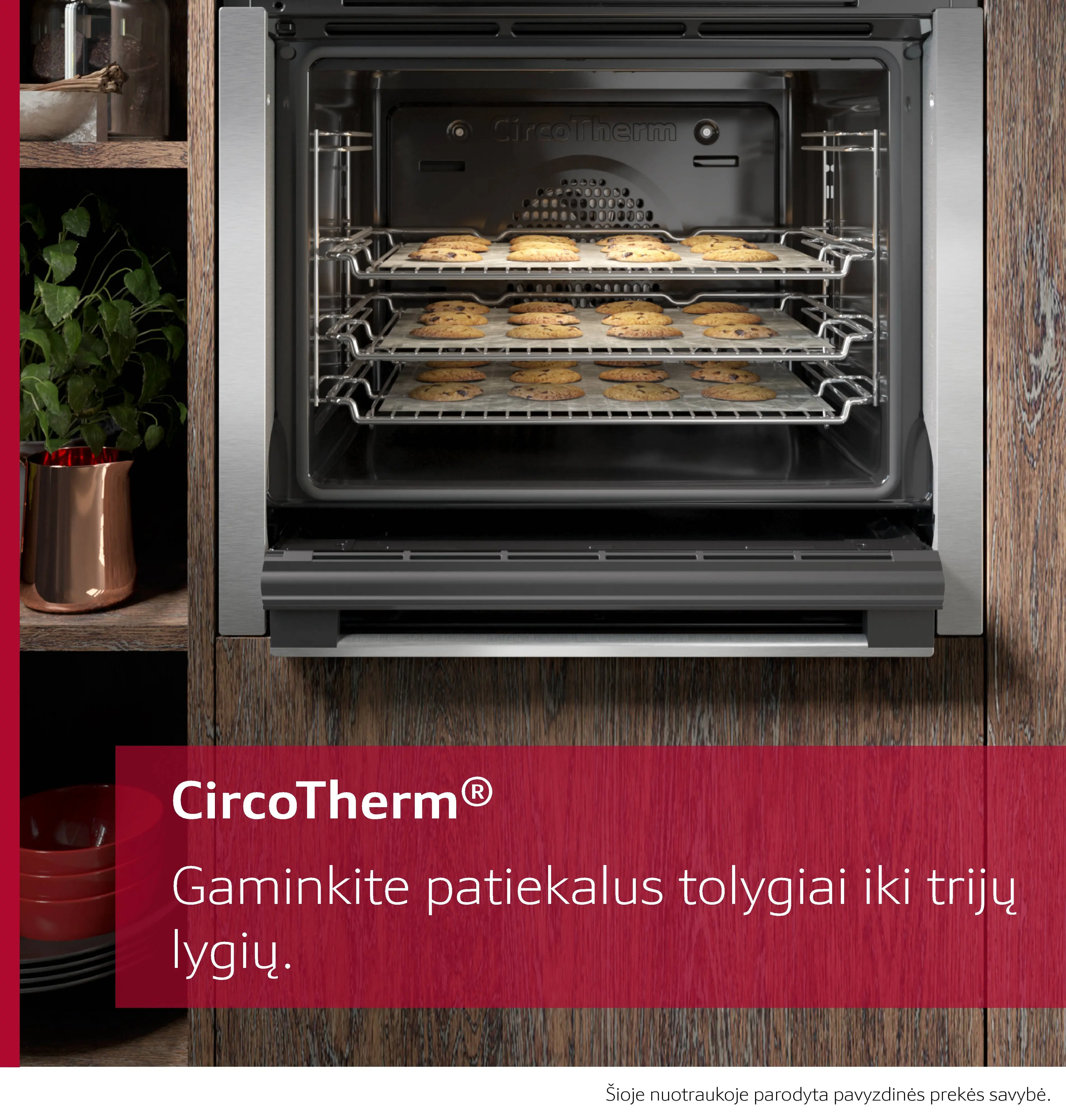 Sumažinta produkto nuotrauka nr. 6