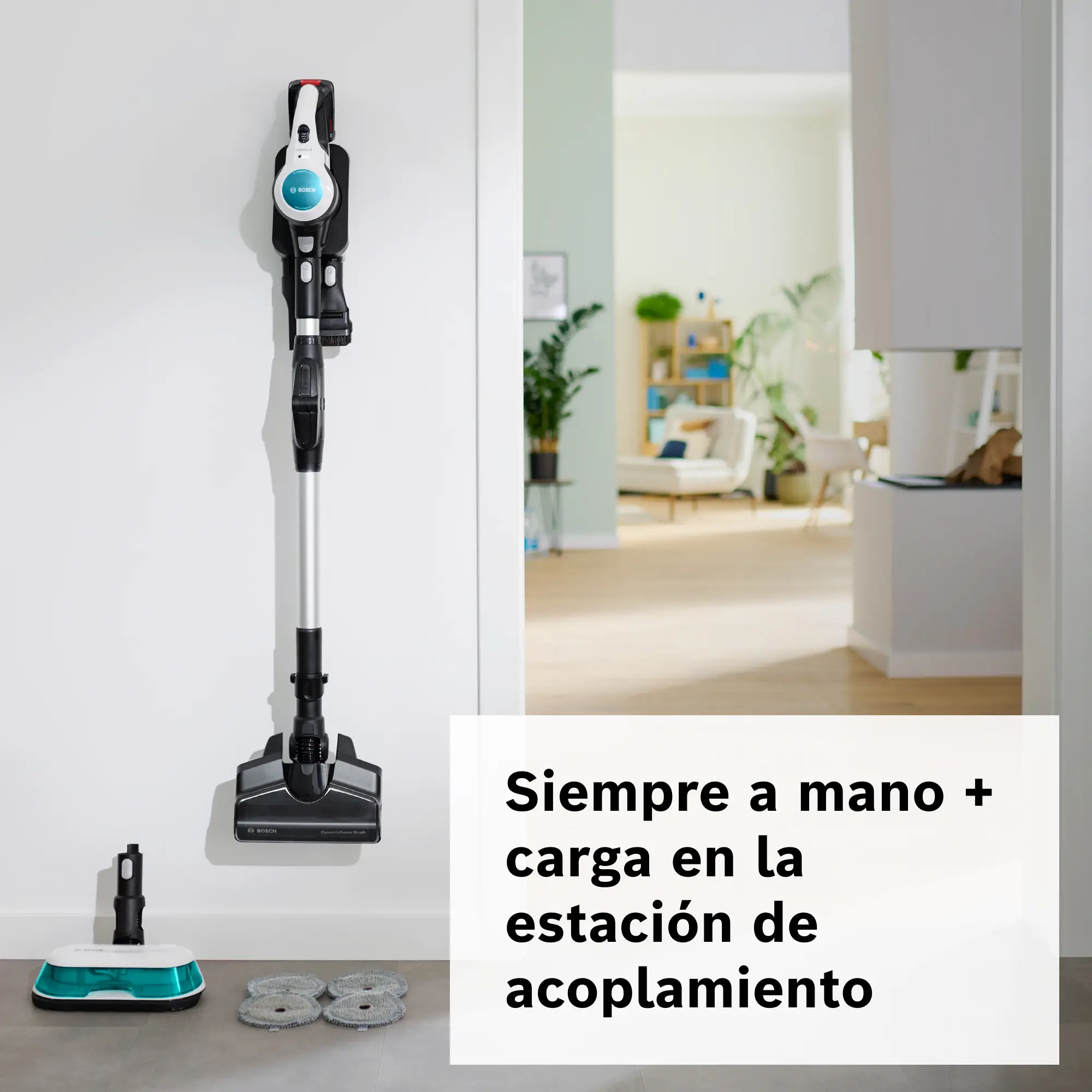 Foto n.º 13 del producto BCS71HYG2