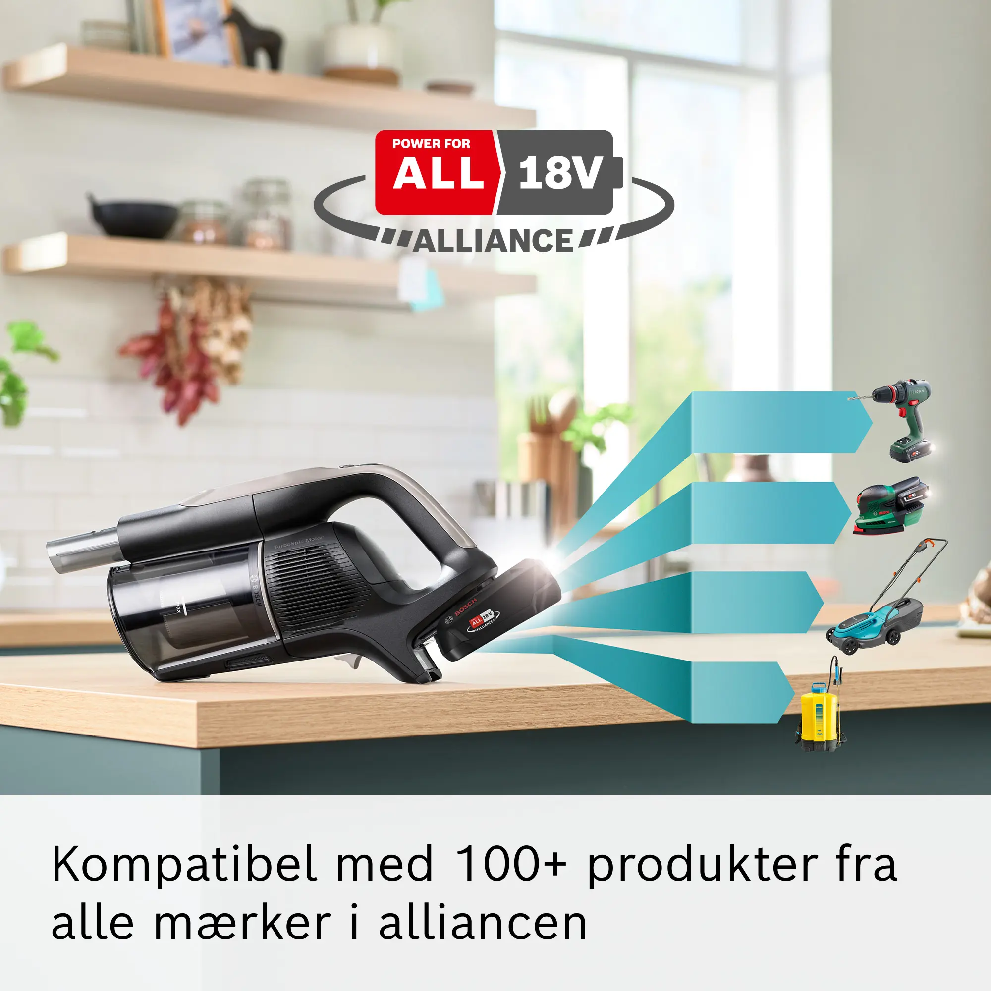 Fotonummer 4 af produktet BSS1041GHF
