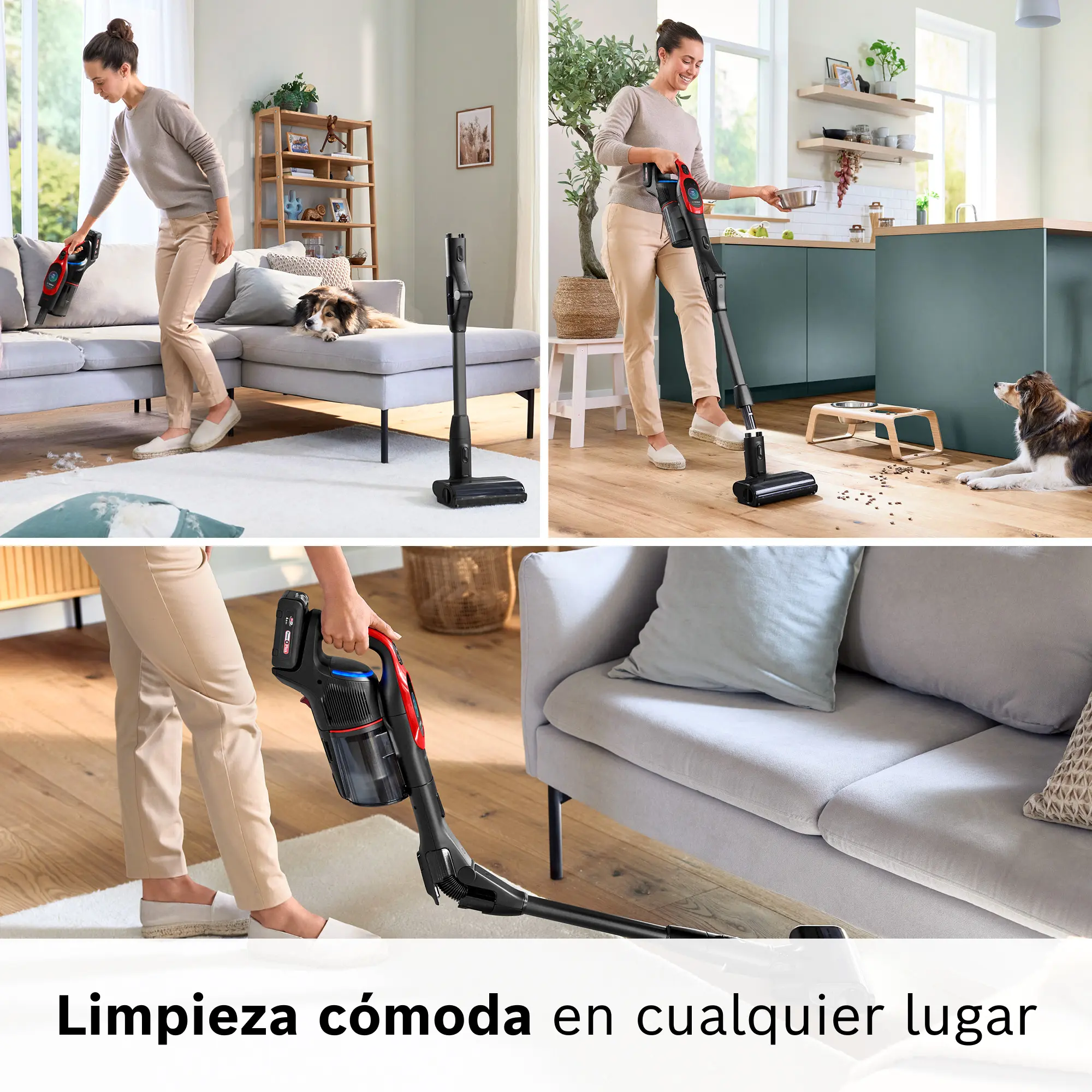 Foto n.º 8 del producto BCS1041PETB