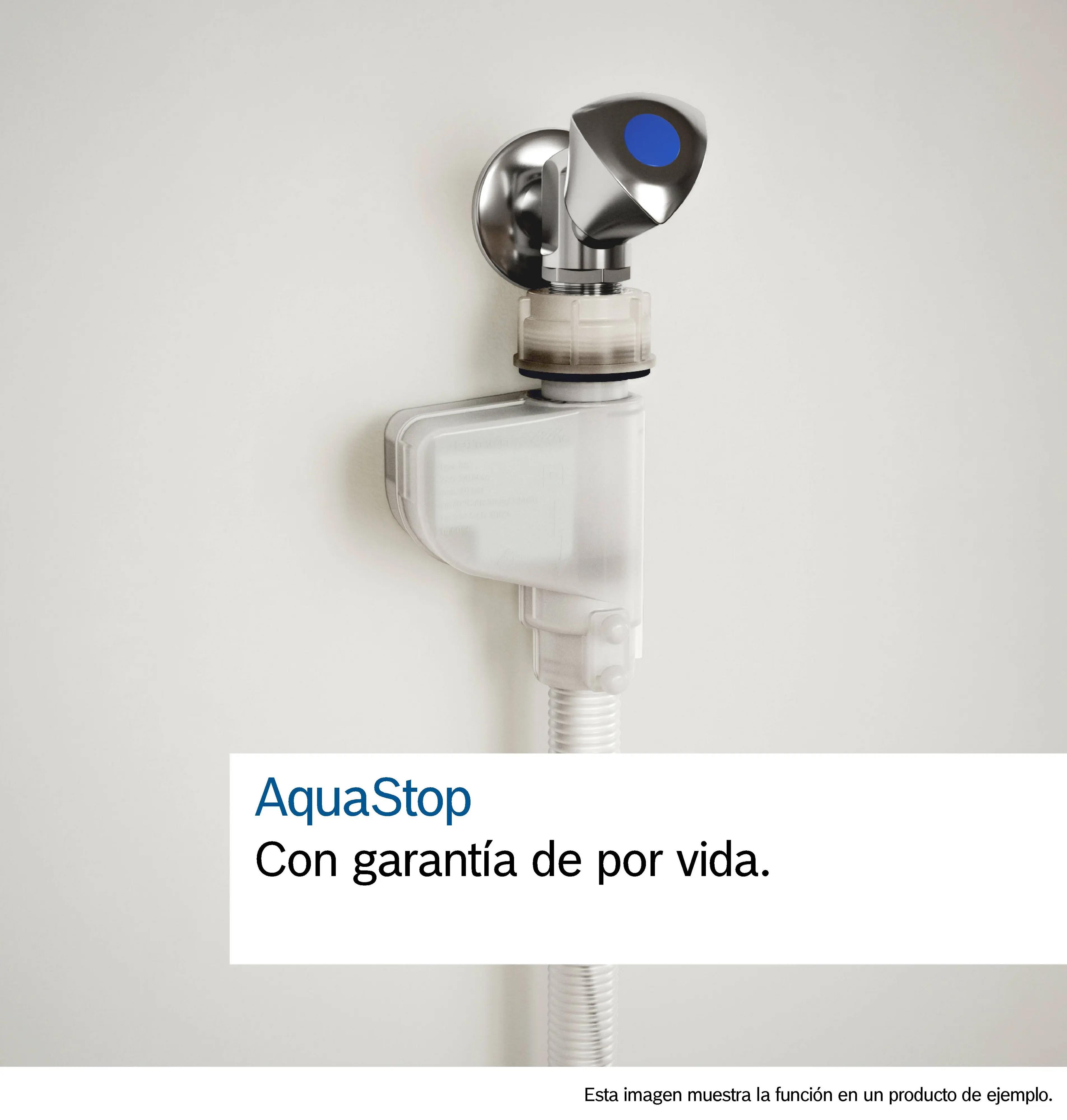 Foto número 3 del producto SMV41D10EU