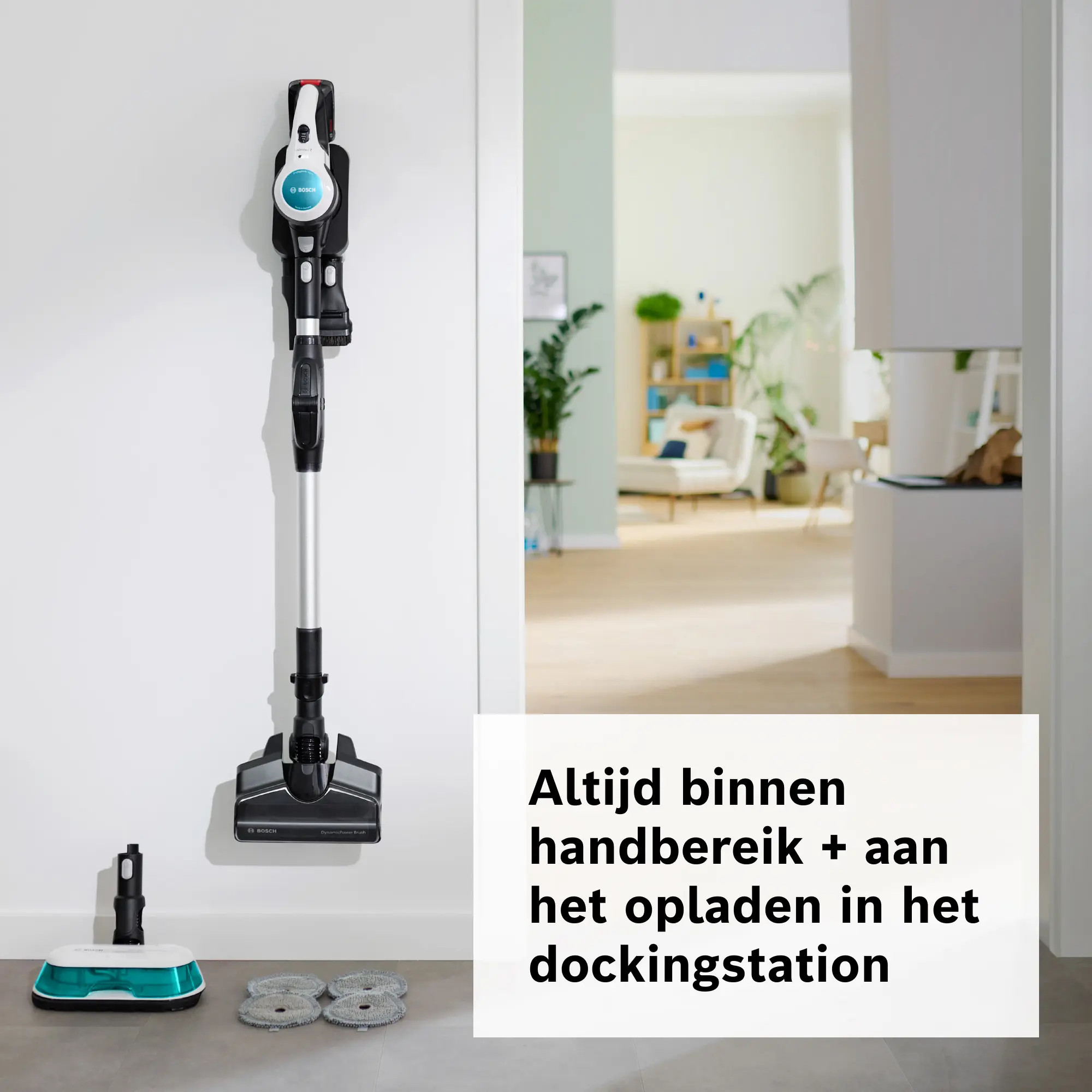Foto nr. 12 van het product BCS71HYG2