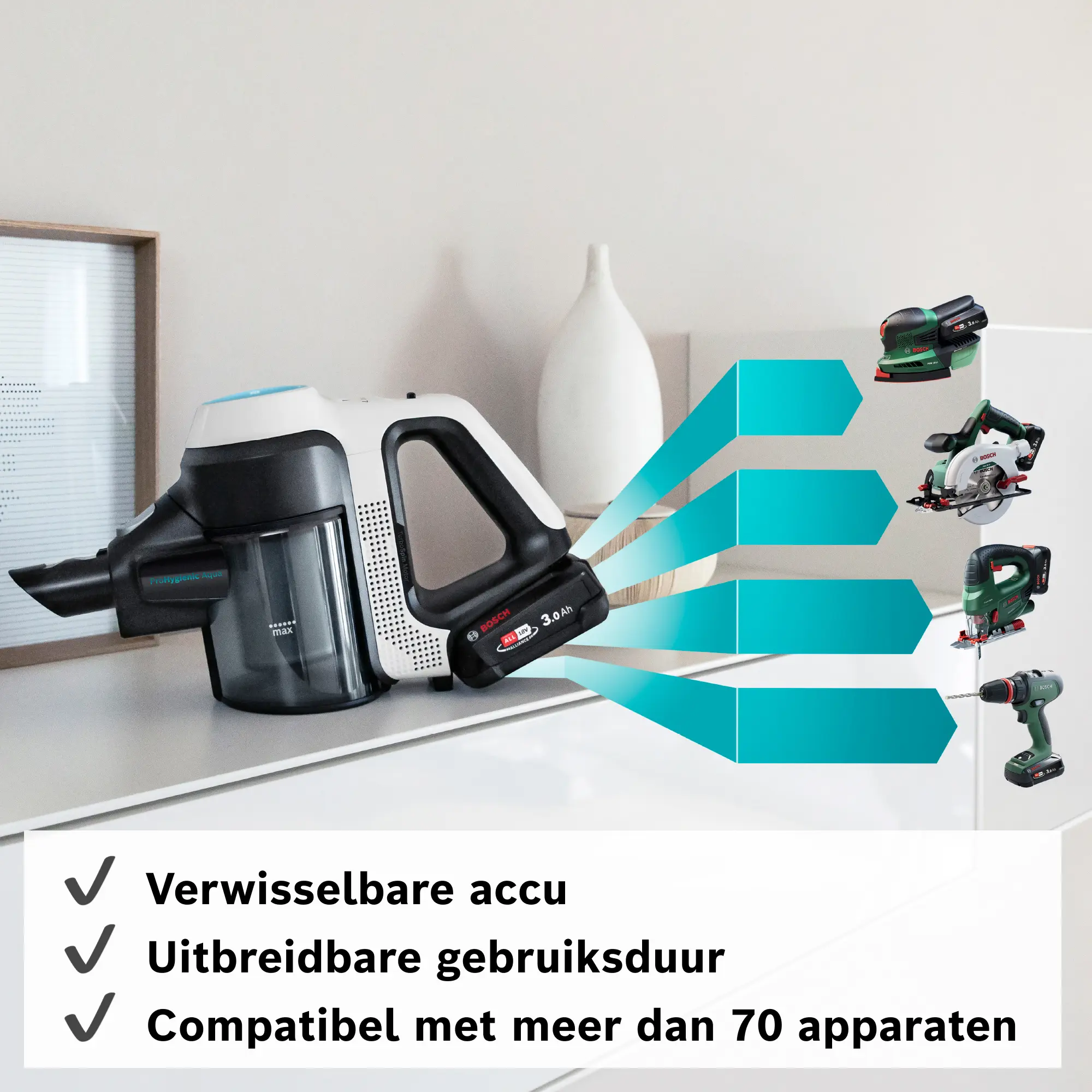 Foto nr. 14 van het product BCS71HYG4