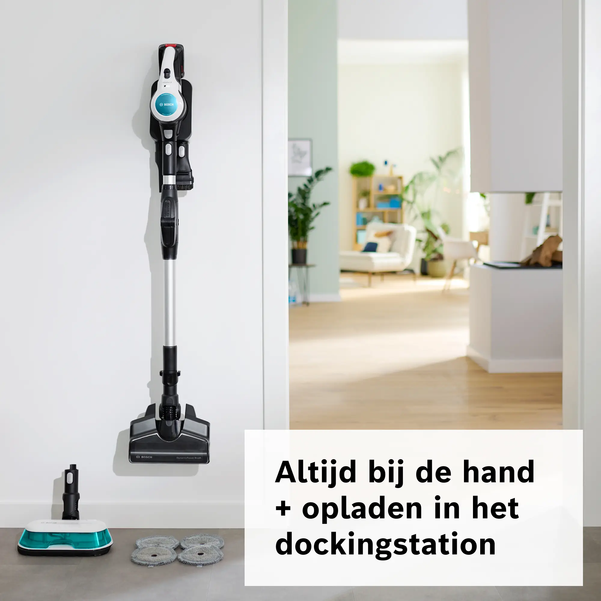 Foto nr. 15 van het product BCS71HYG4