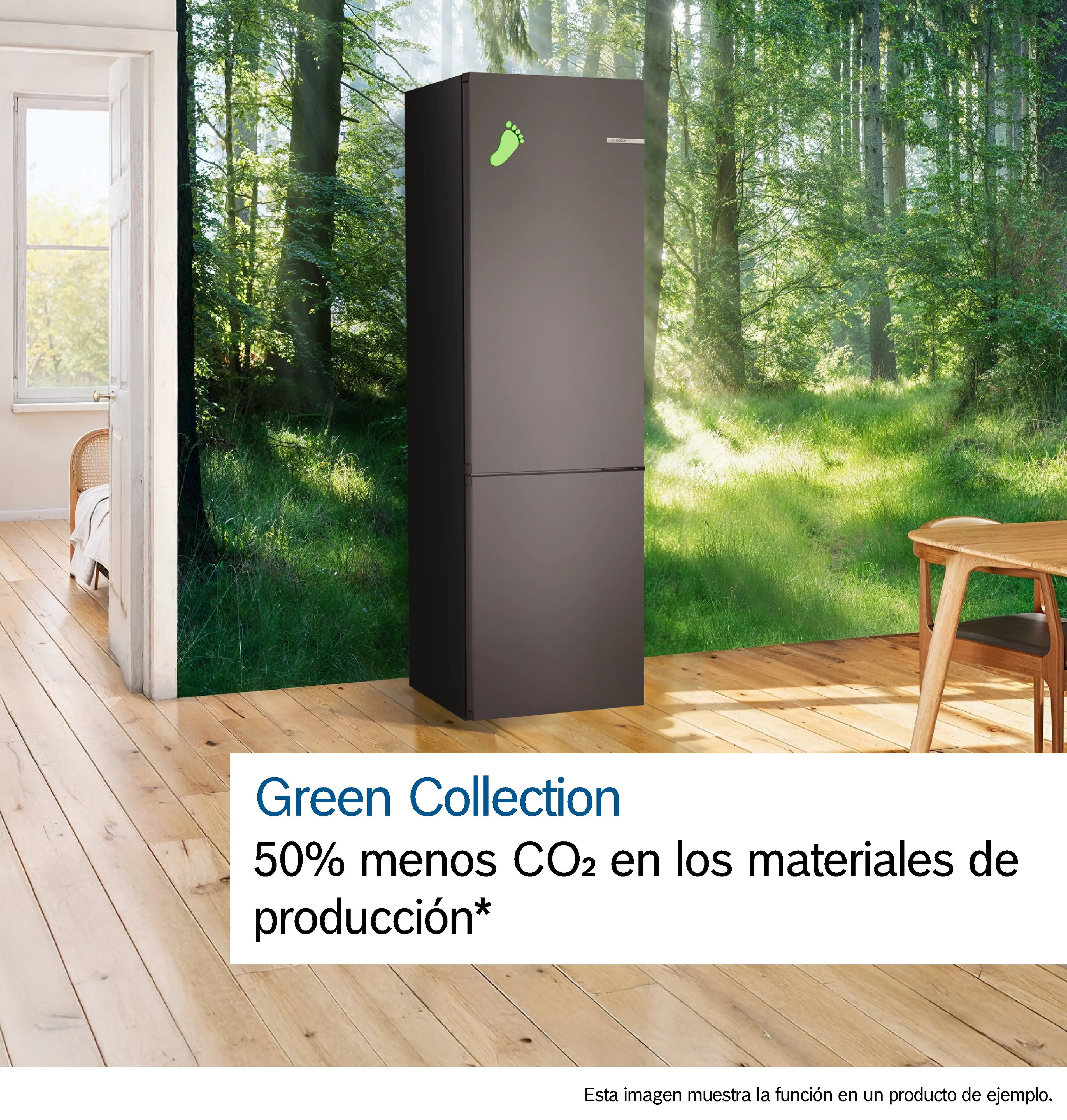 Número de foto: n.º 13 del producto