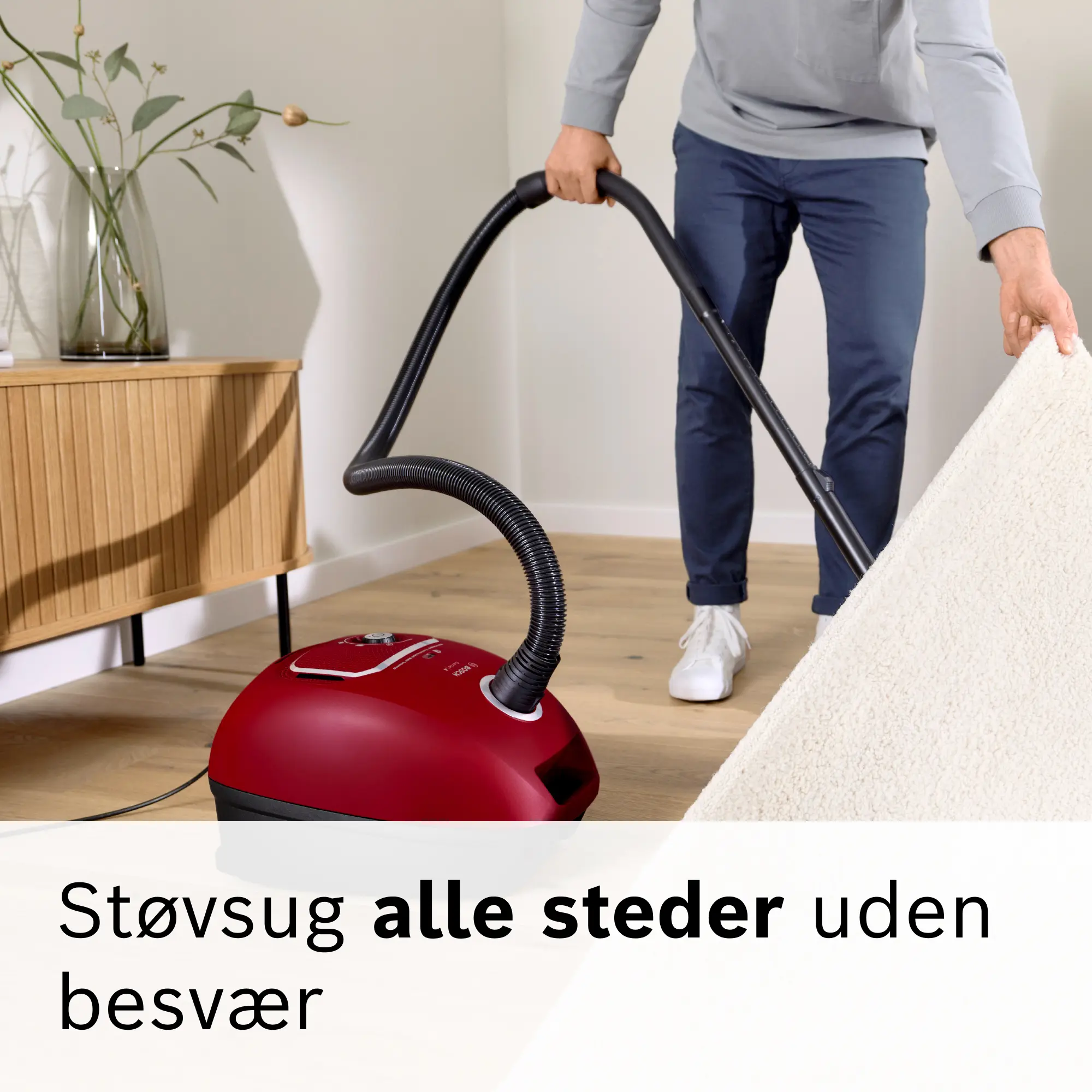 Fotonummer 10 af produktet BGB41RD3H