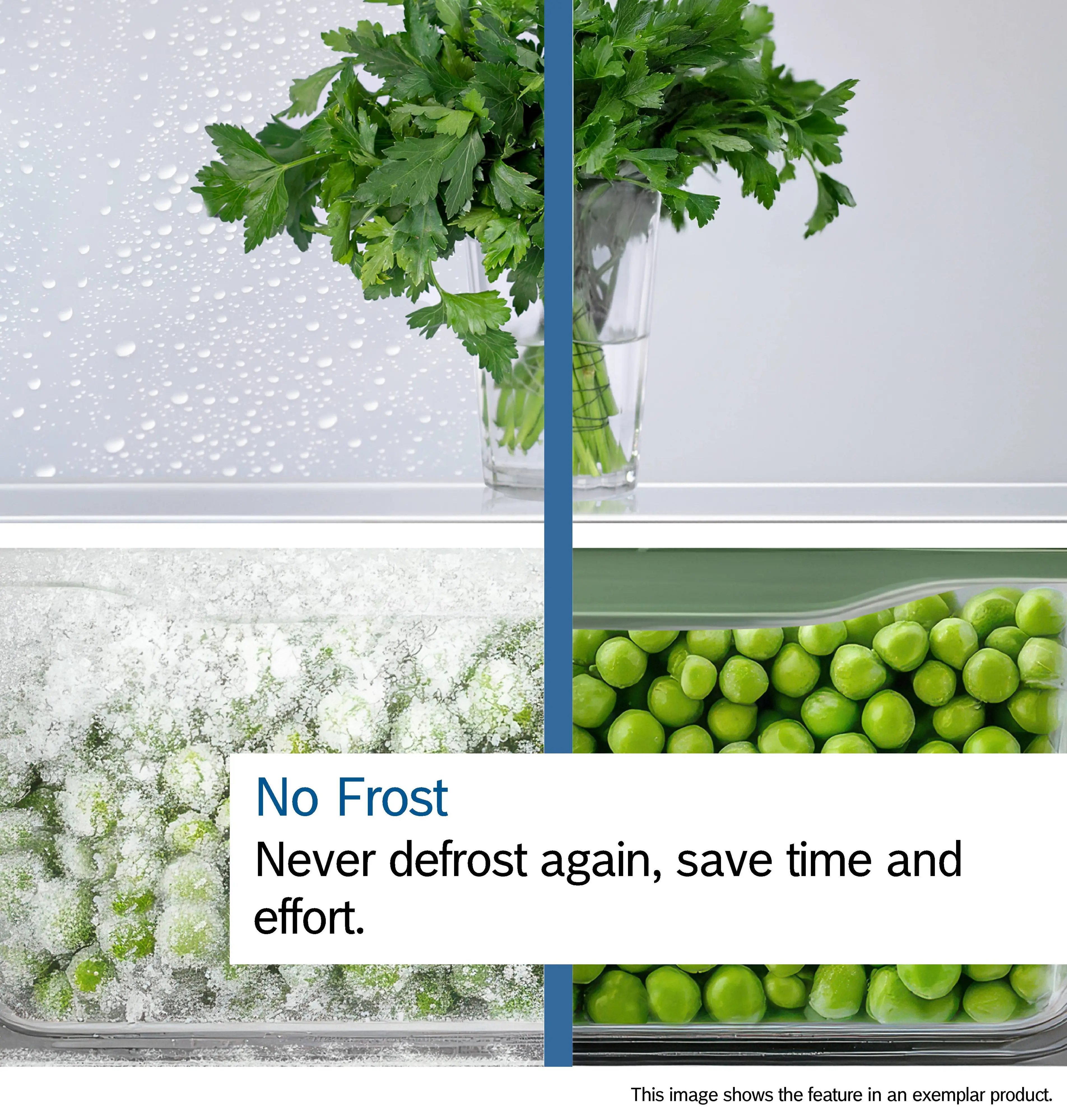 Photo thumb Nr. 10 of the product