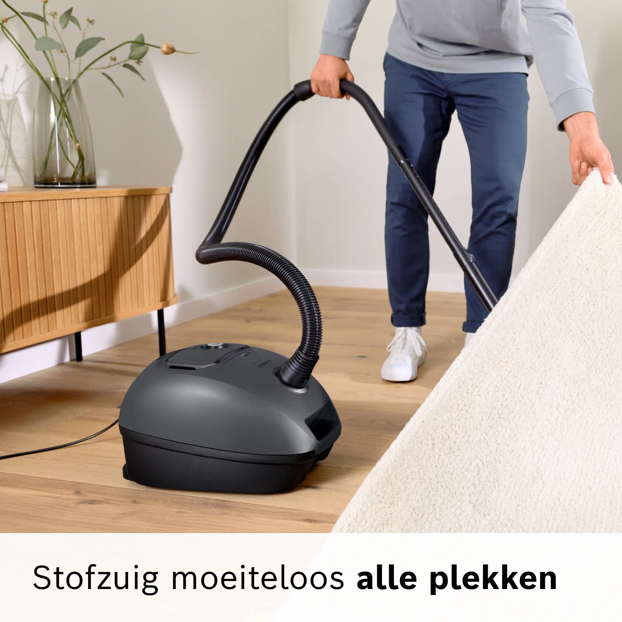 Foto nr. 16 van het product BGL41GR3H
