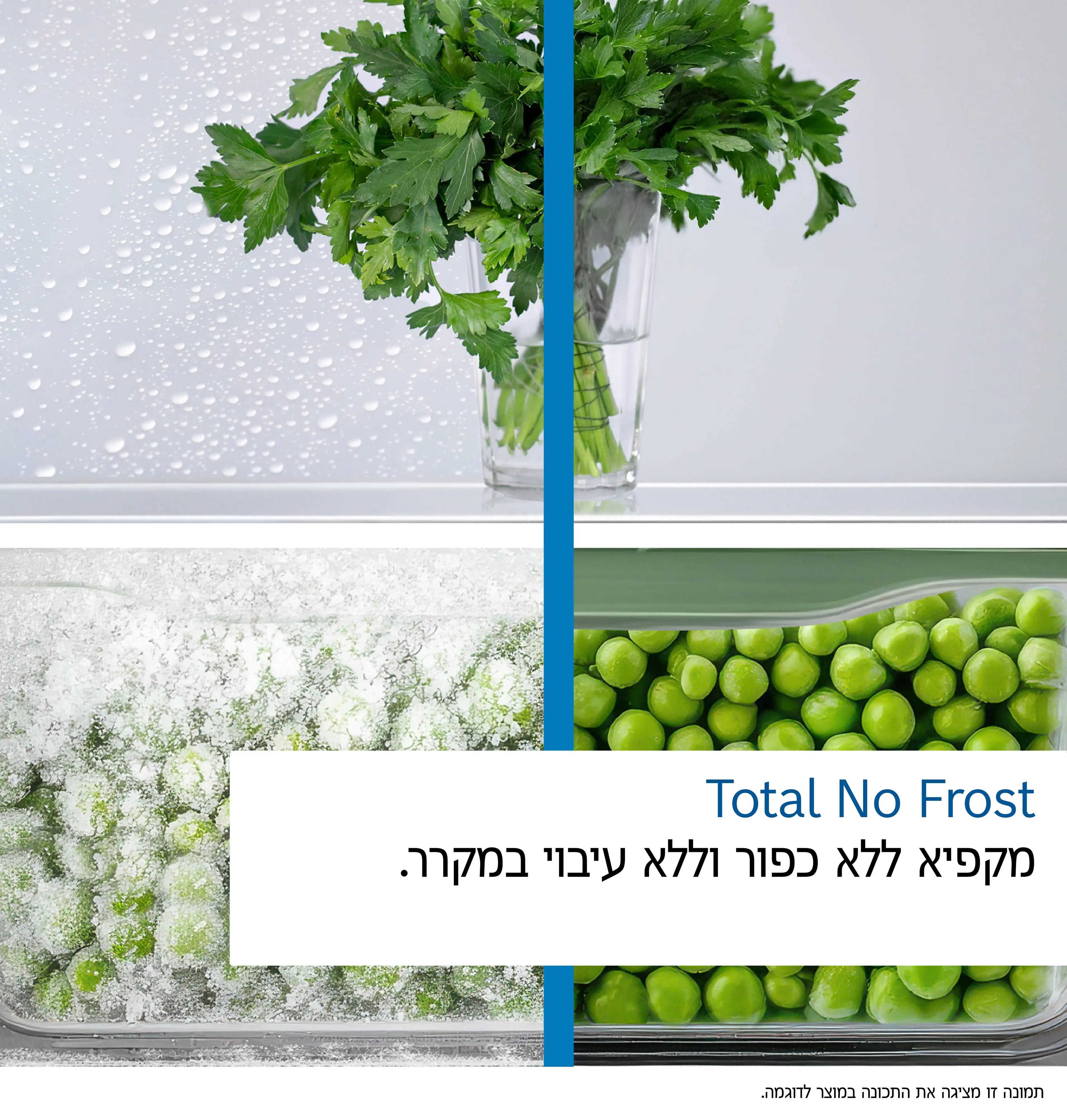 אצבע התמונה Nr. 7 של המוצר