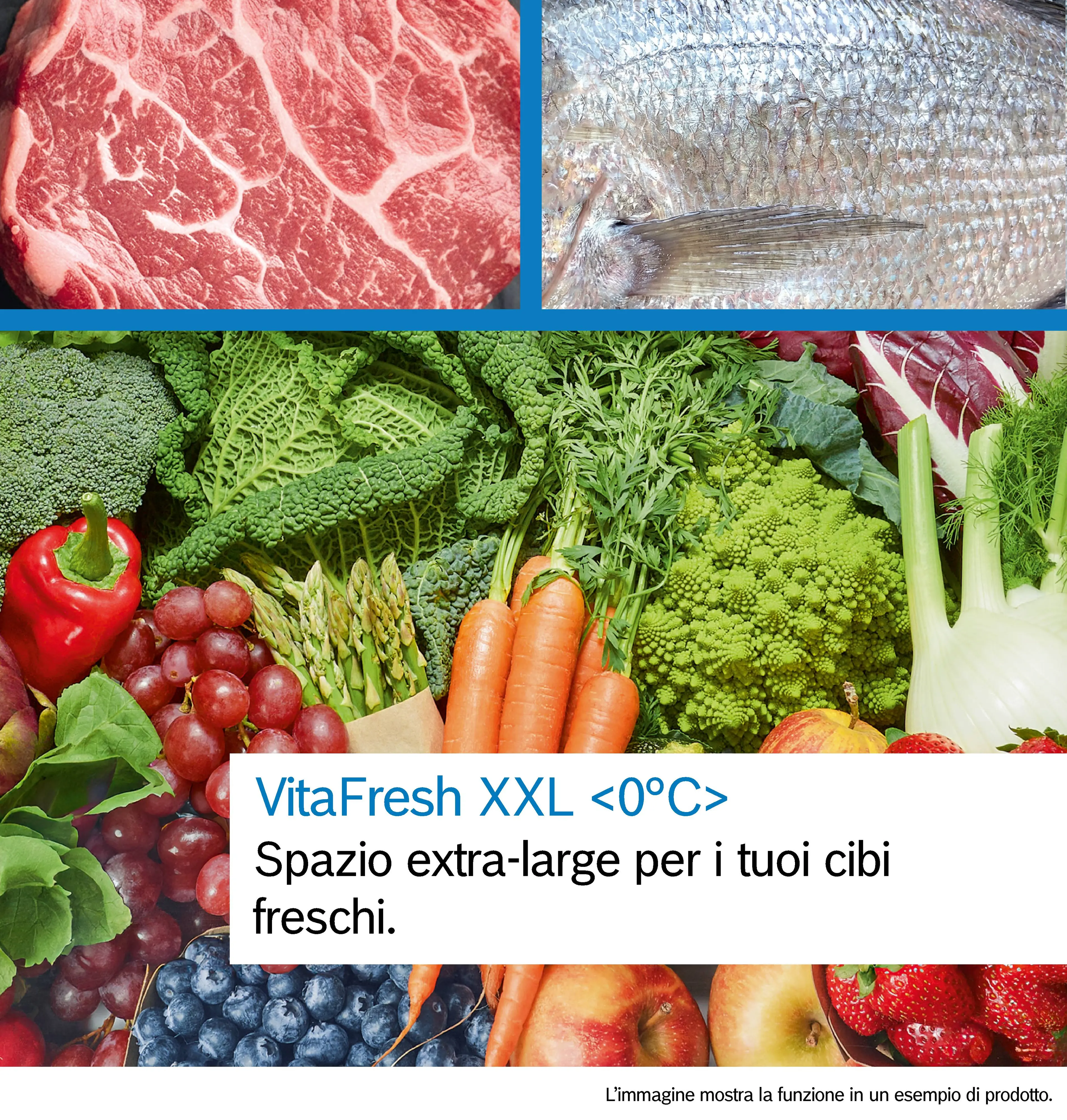 Foto pollice Nr. 2 del prodotto
