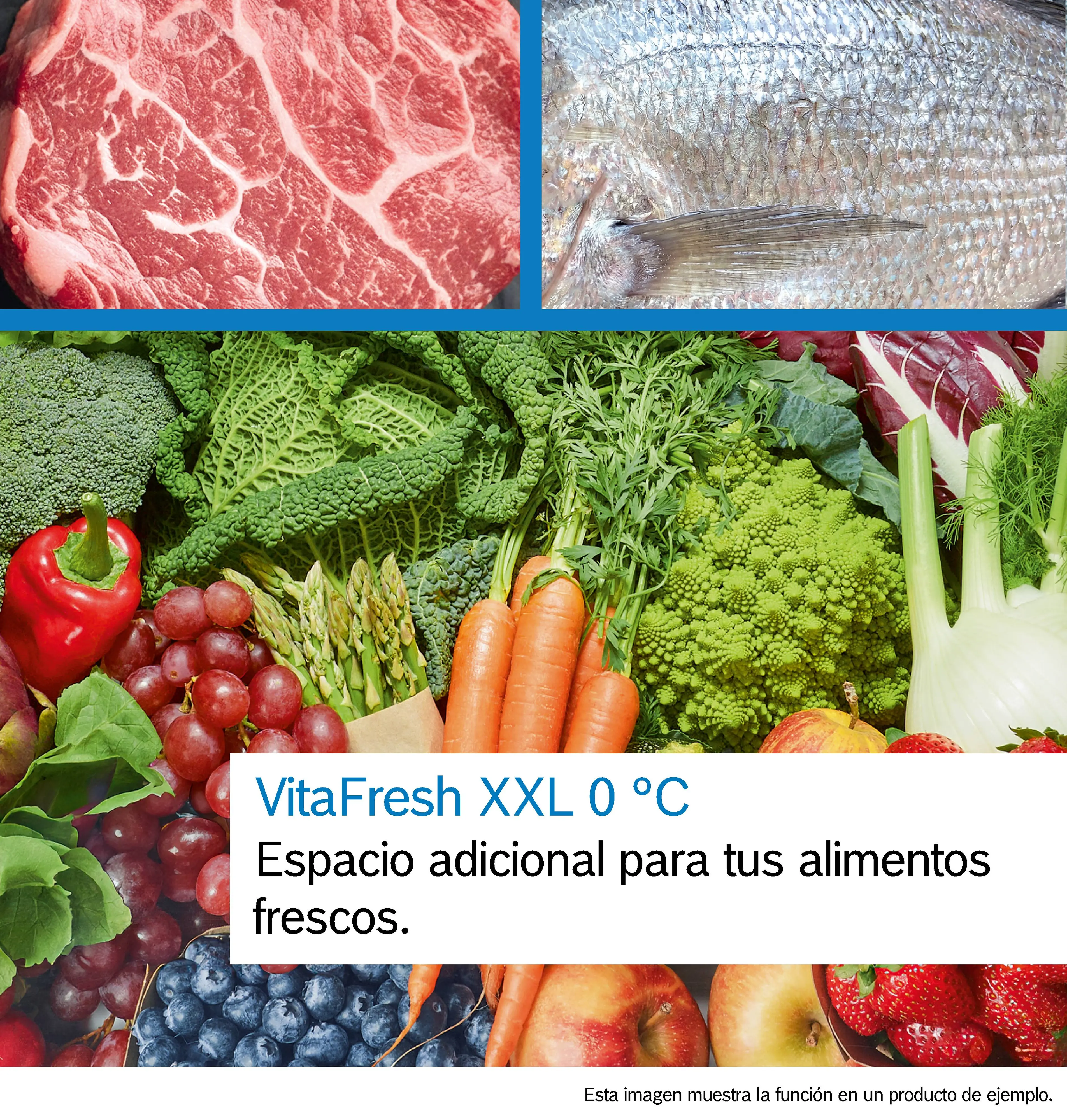 Foto número 2 del producto KMC85LBEA