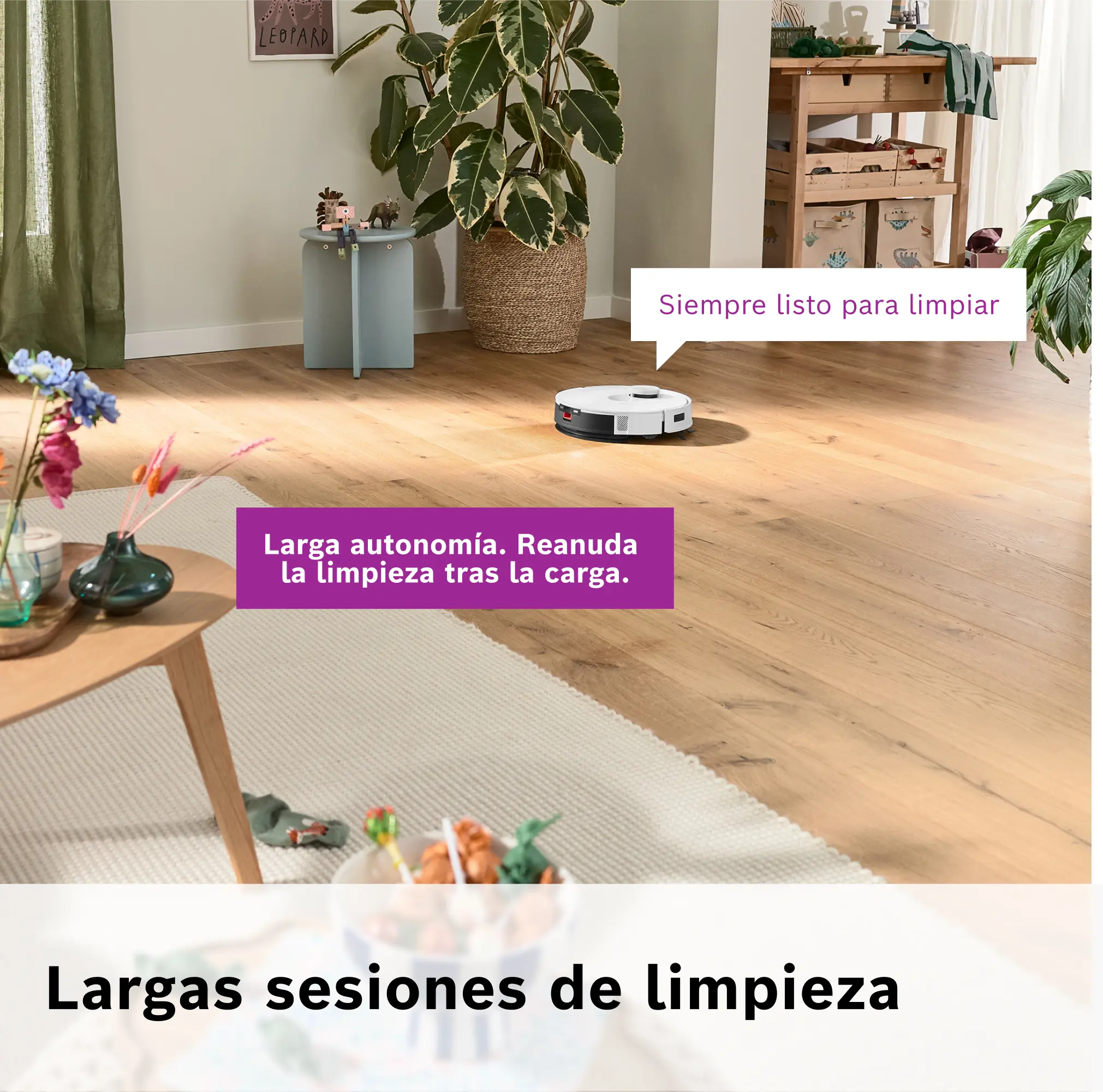 Foto n.º 12 del producto BCRD1W----B