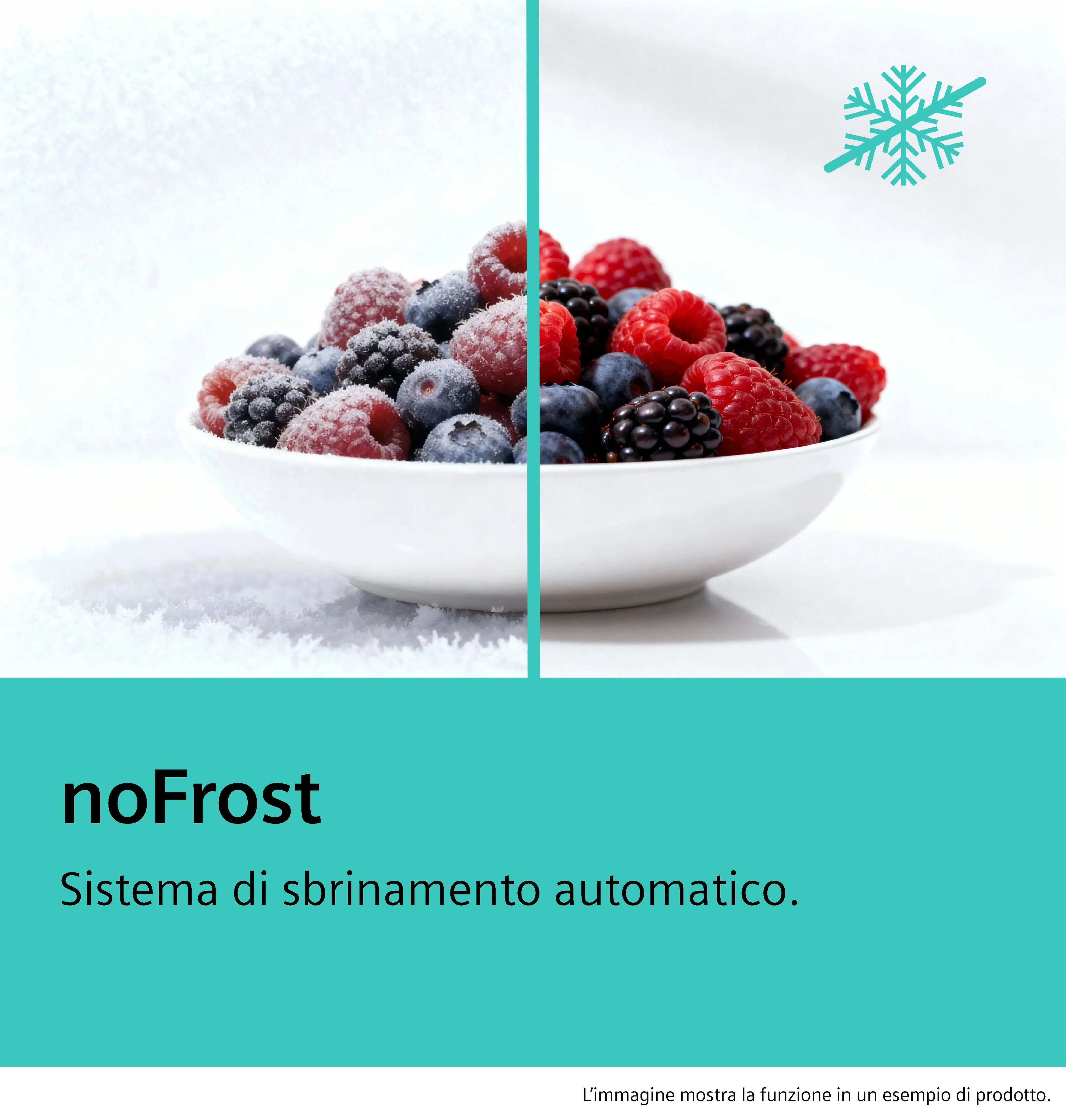 Foto pollice Nr. 4 del prodotto