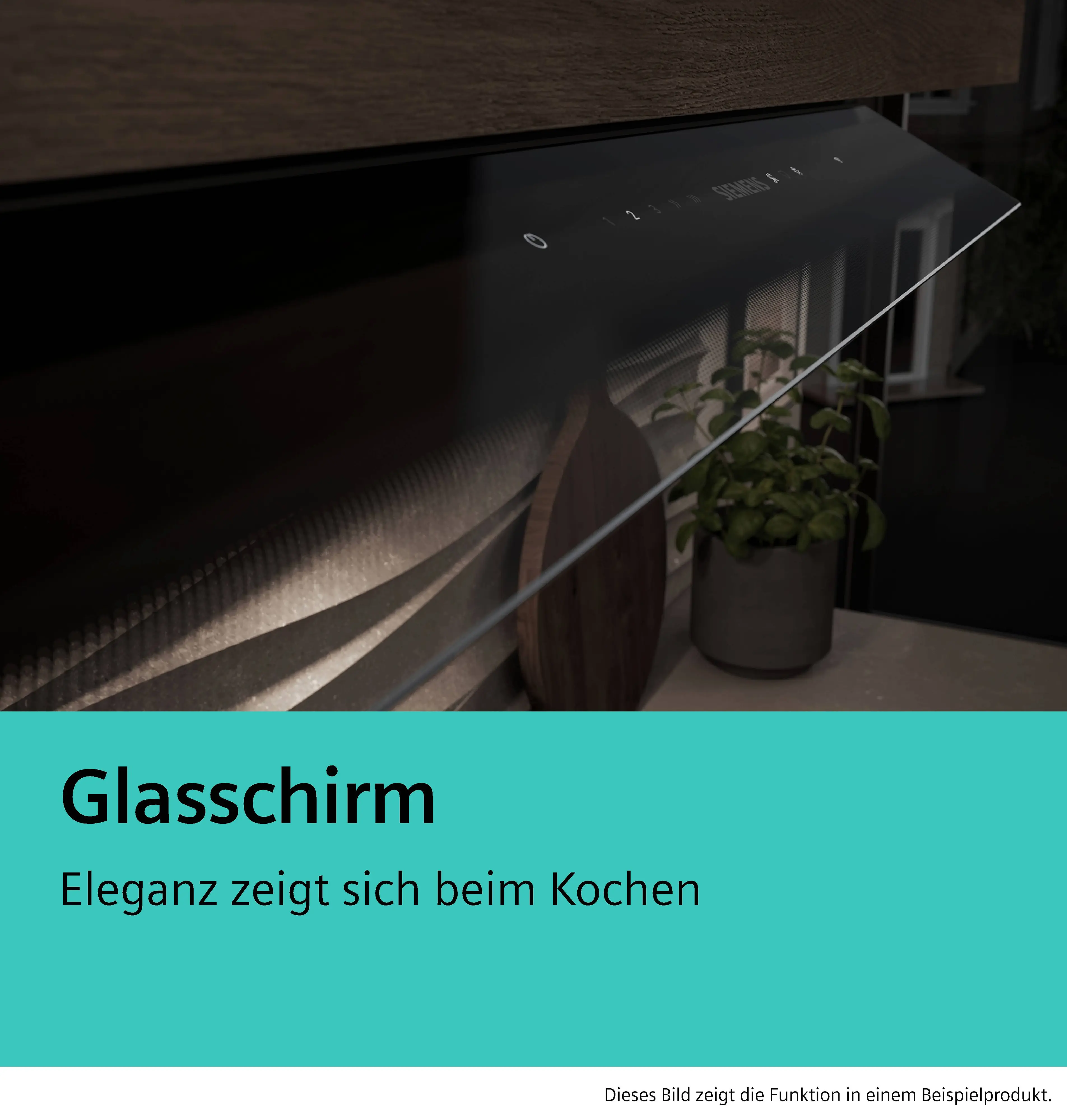 Foto-Vorschau Nr. 12 des Produkts