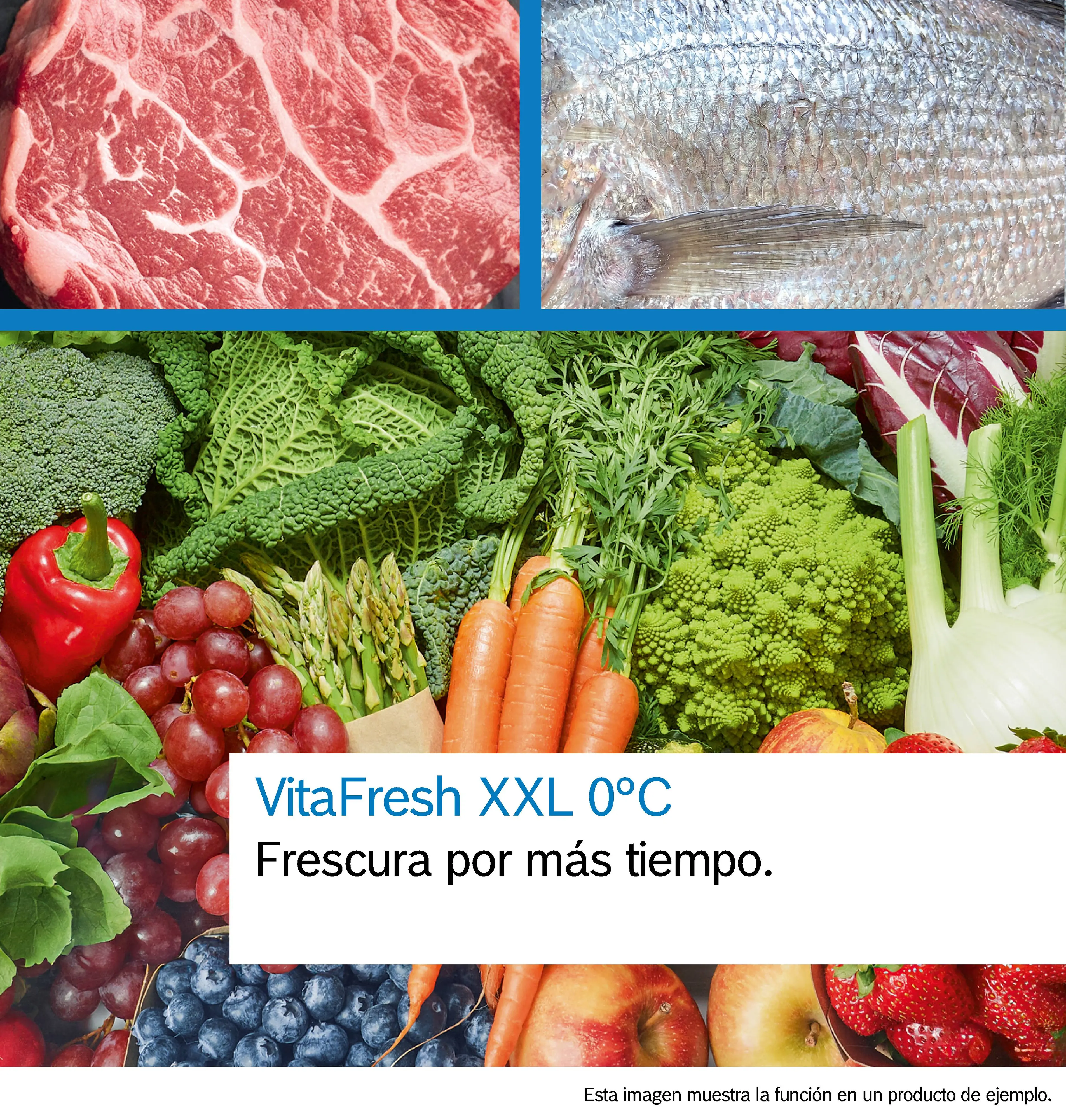 Foto n.º 4 del producto KSN36VIDG