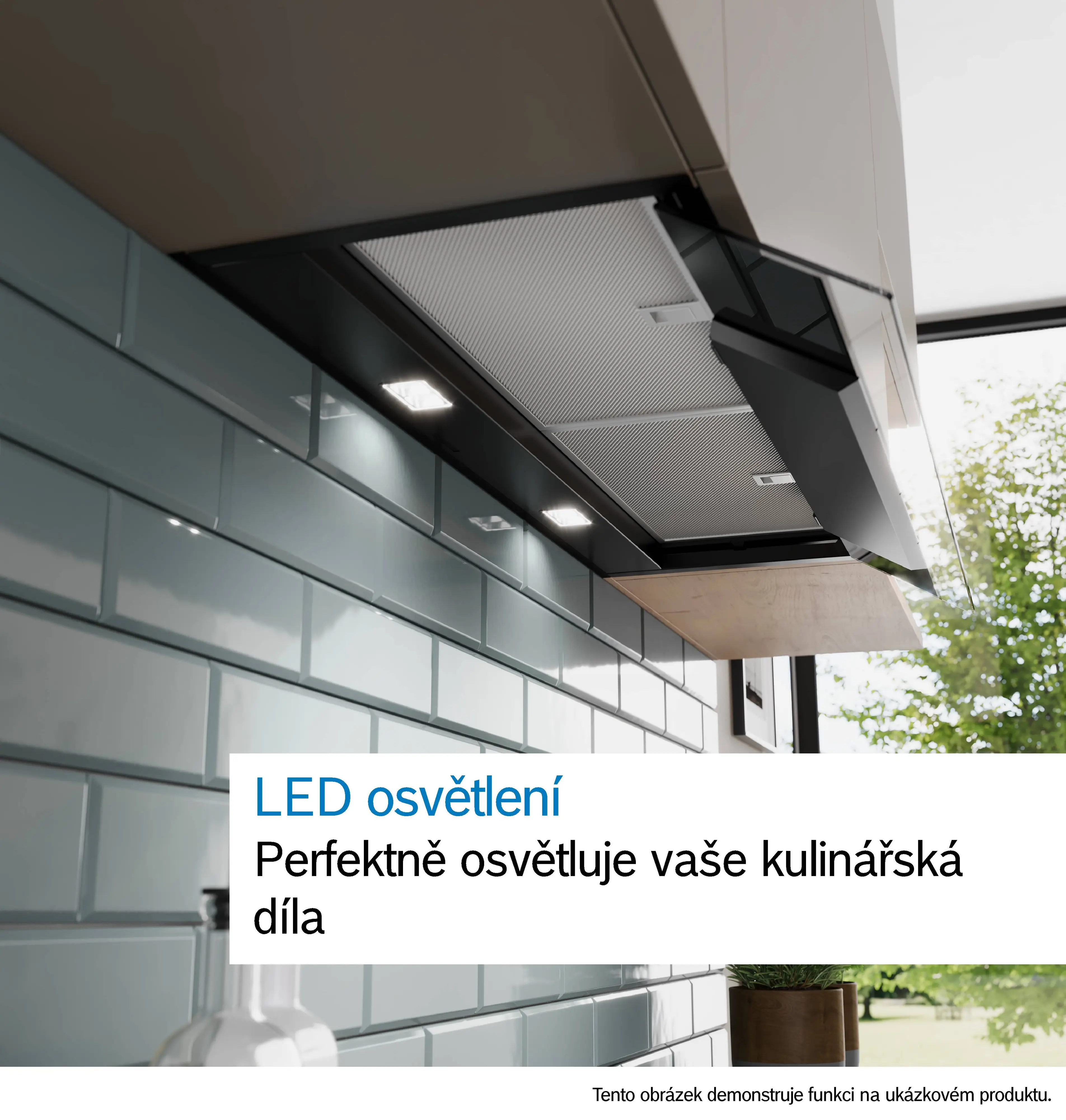 Fotografie palce Nr. 10 výrobku