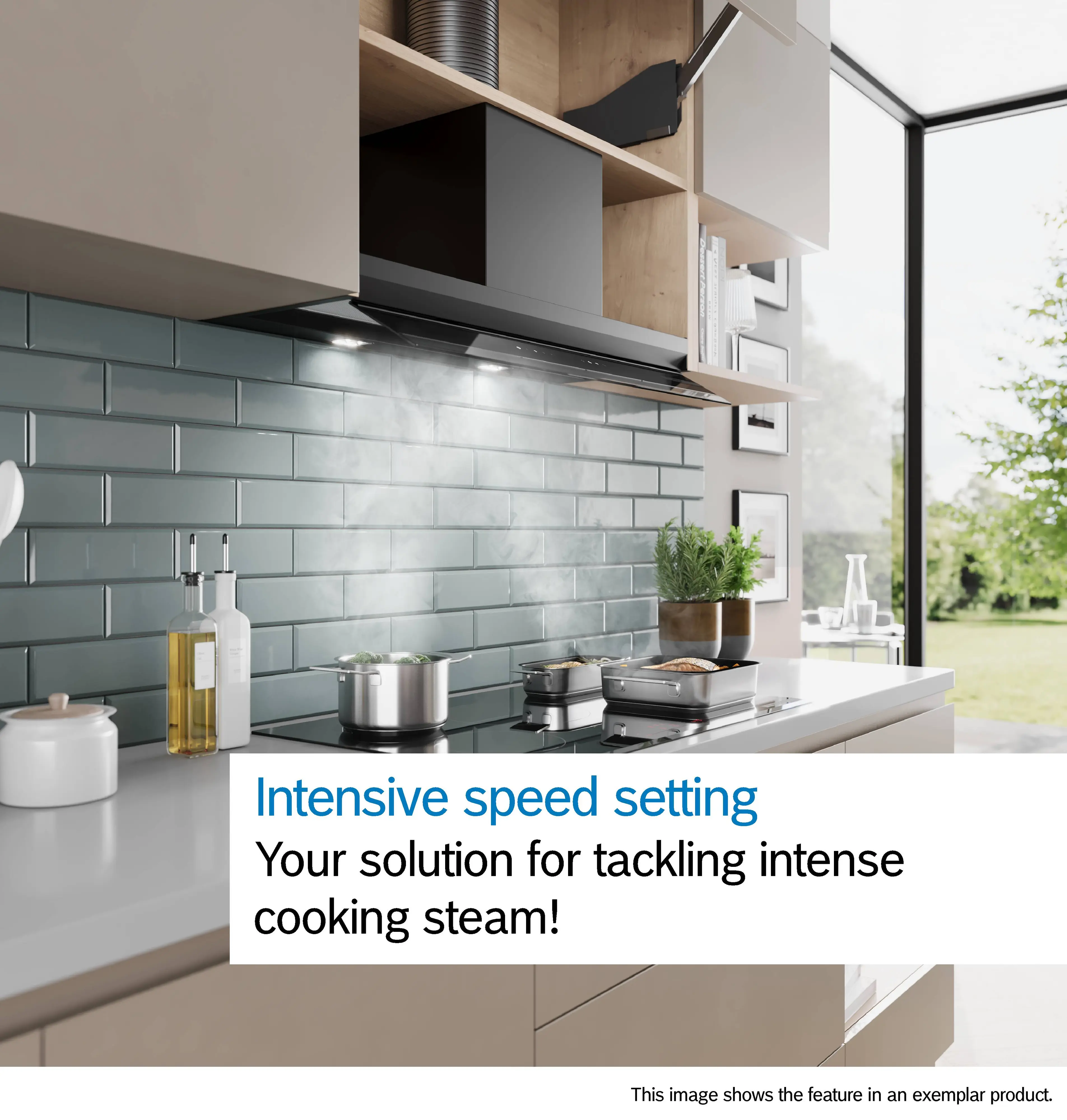 Photo thumb Nr. 12 of the product