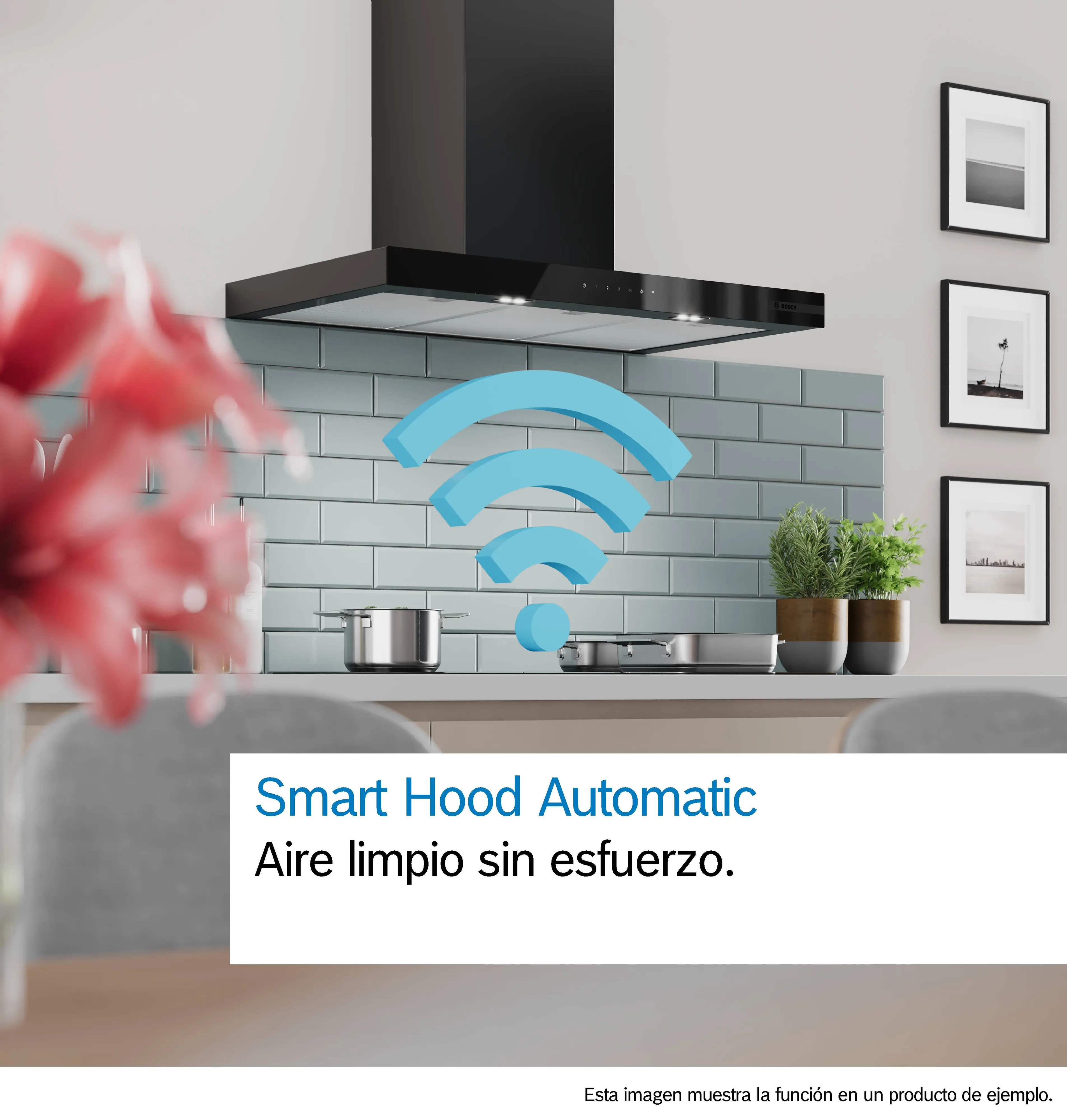 Foto número 3 del producto DWB97DN60