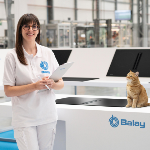 Tecnolog&iacute;a de Balay