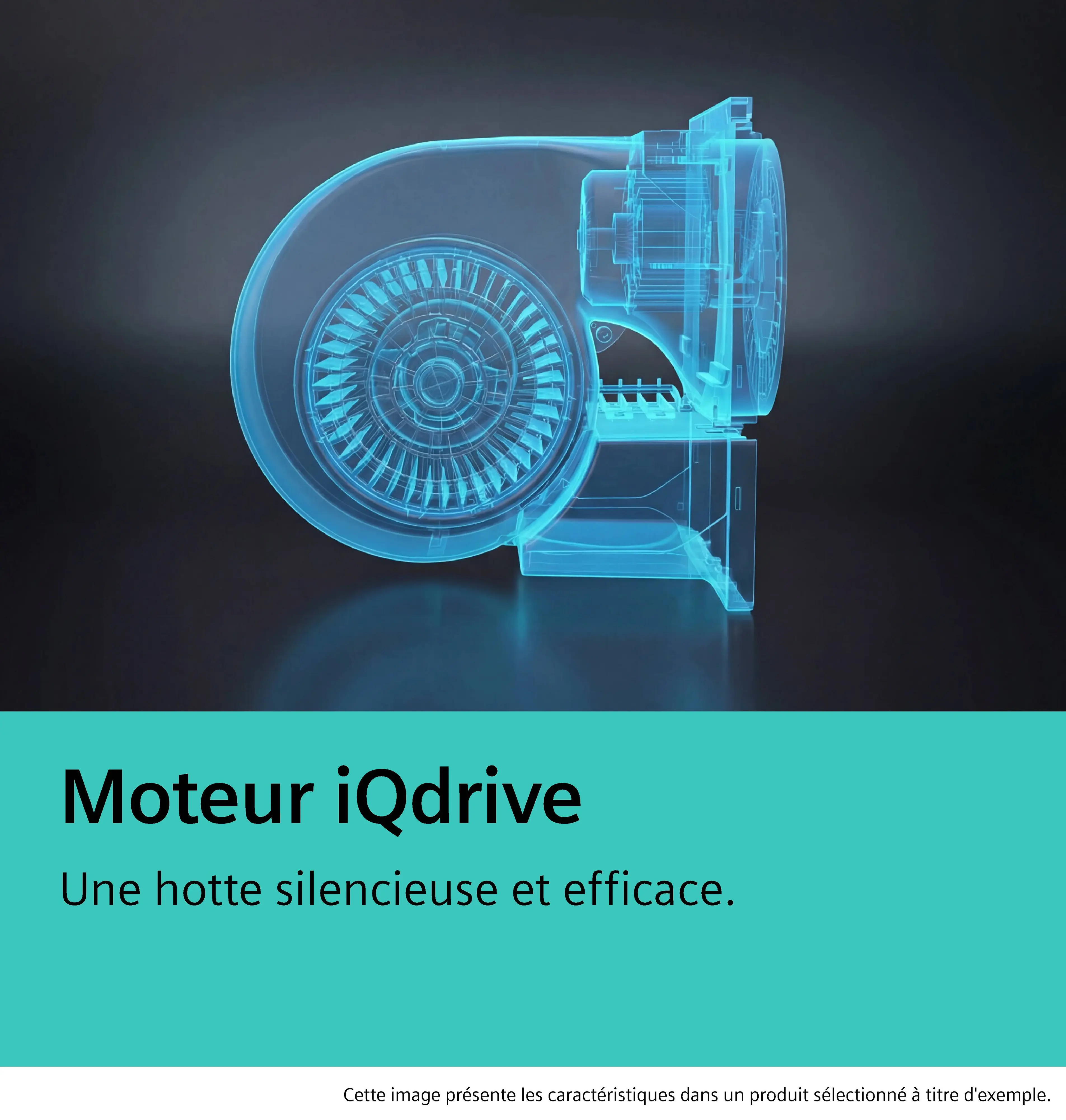 Photo n° 9 du produit