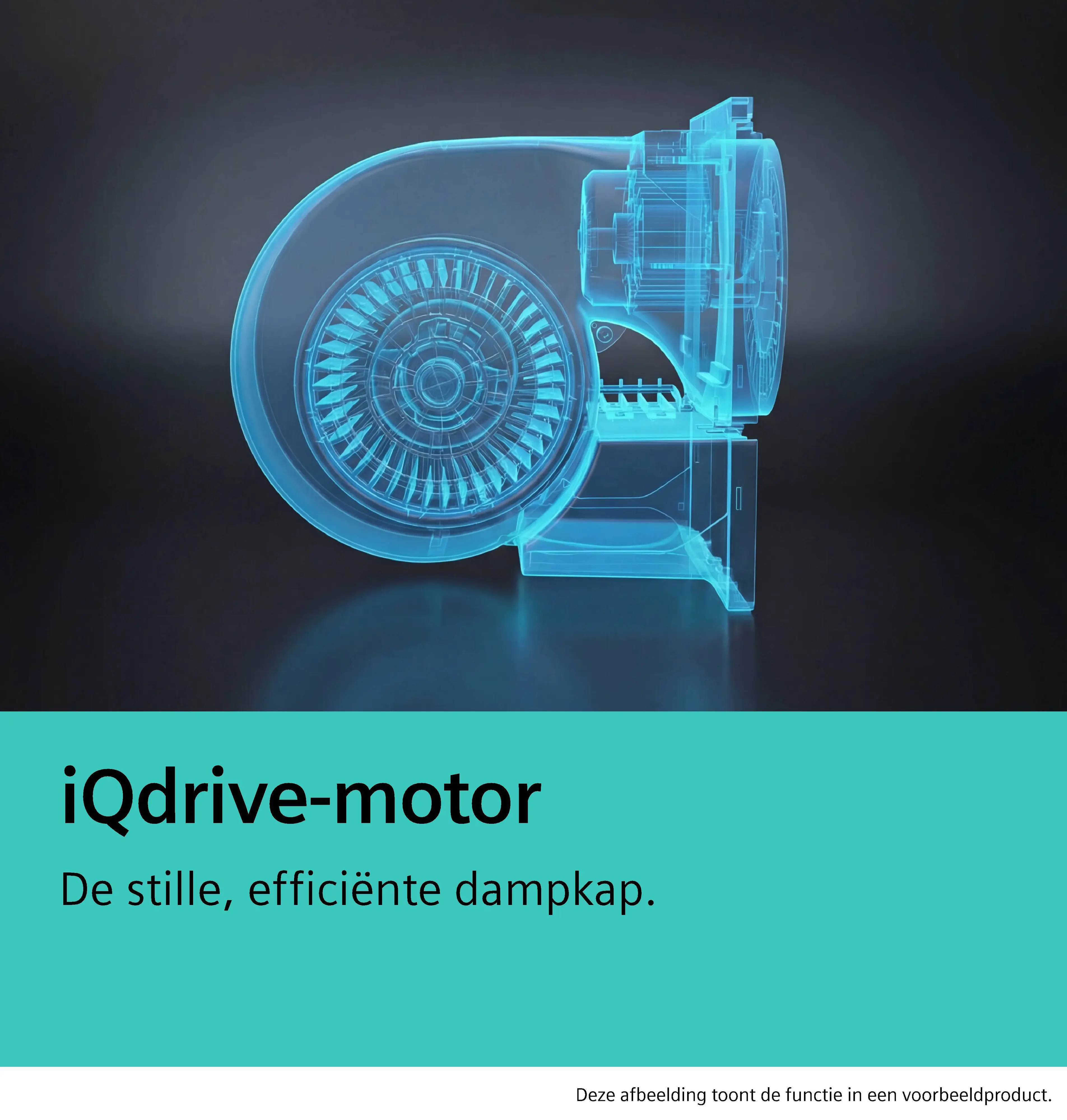 Foto-miniatuur nr. 6 van het product