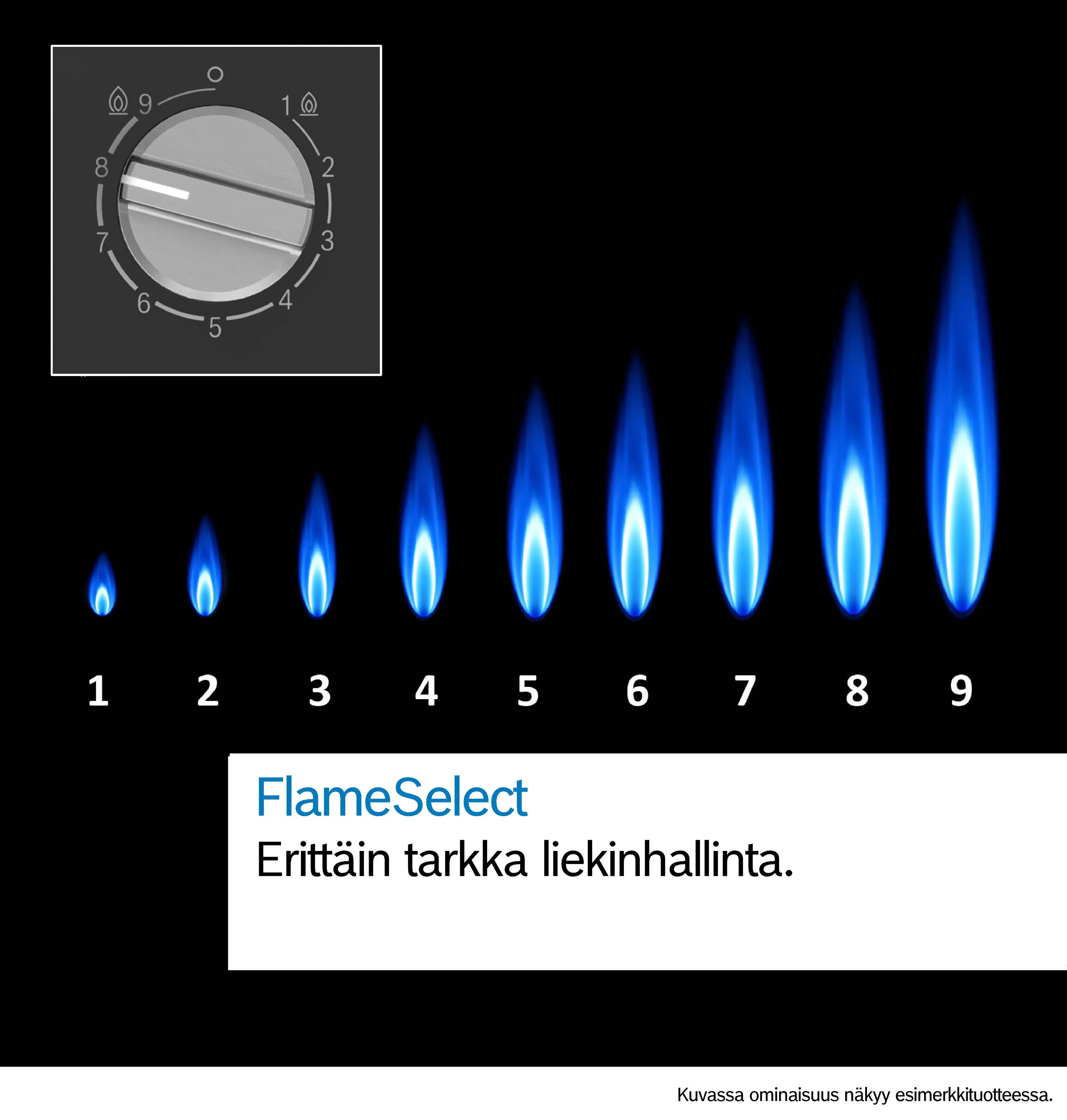 Kuva peukalo Nr. 6 tuotteesta
