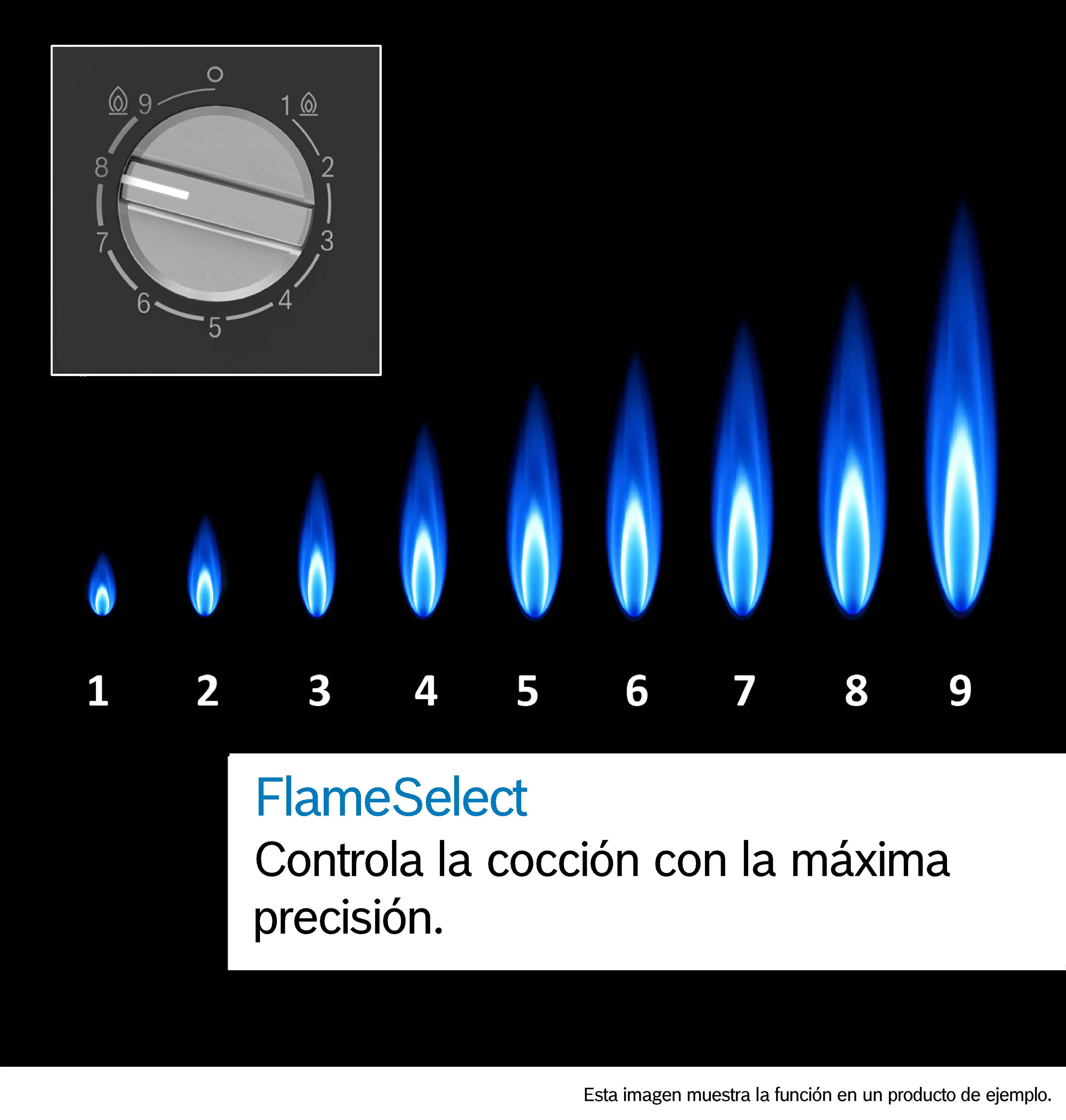 Número de foto: n.º 7 del producto