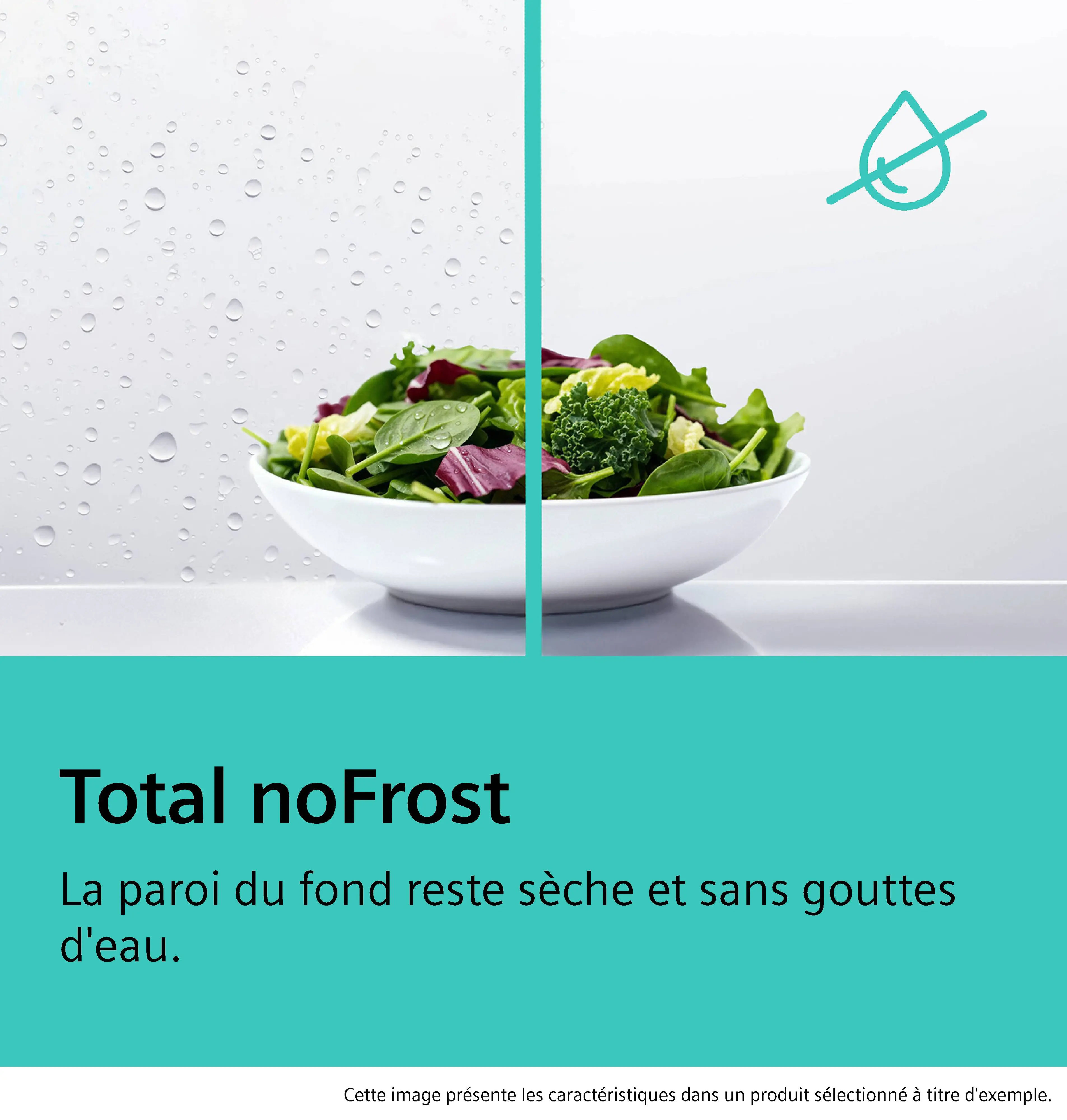 Photo n° 11 du produit