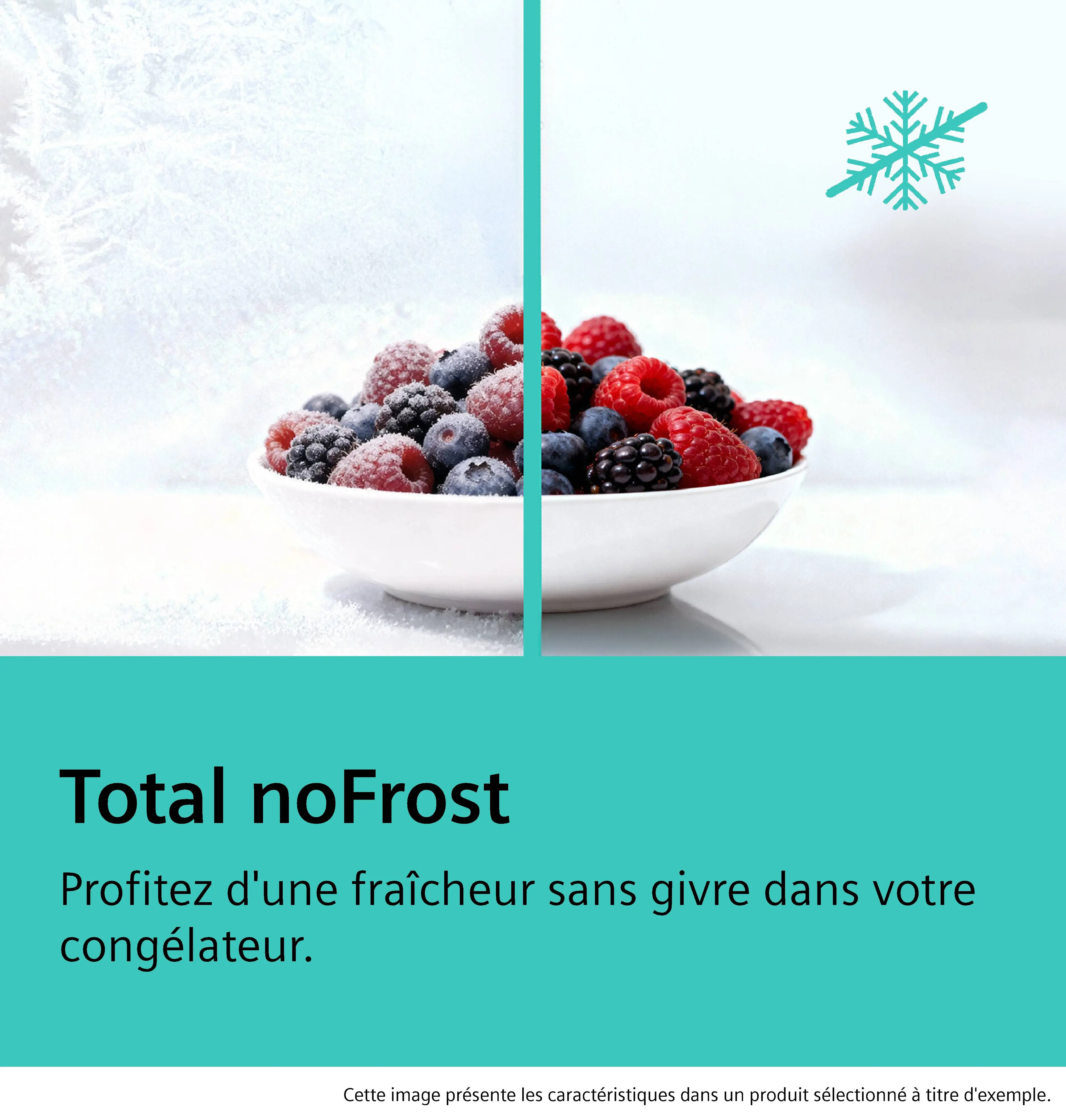Photo n° 4 du produit